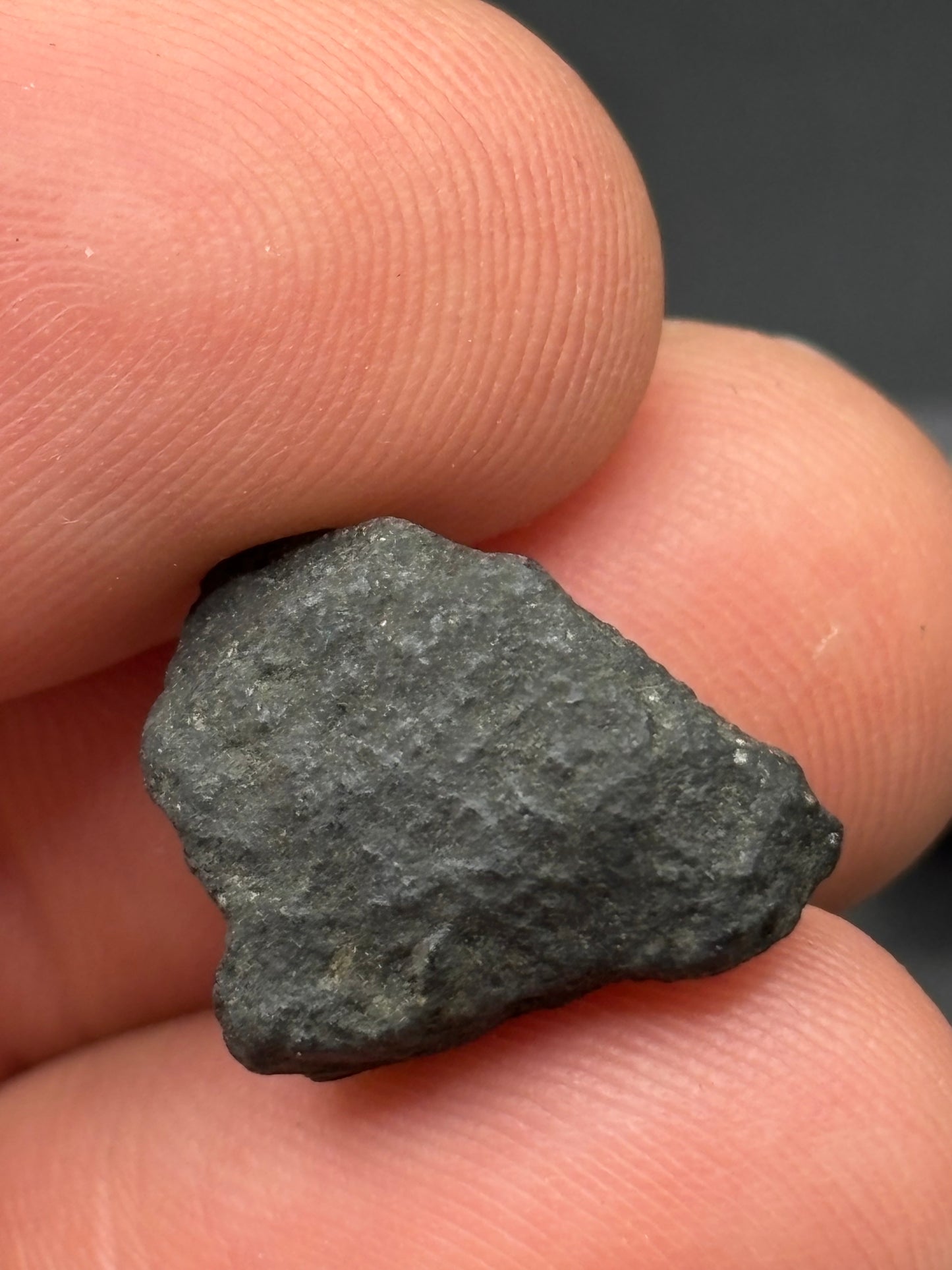 Aguas Zarcas CM2 Carbonaceous Chondrite — Fragment 1.75g