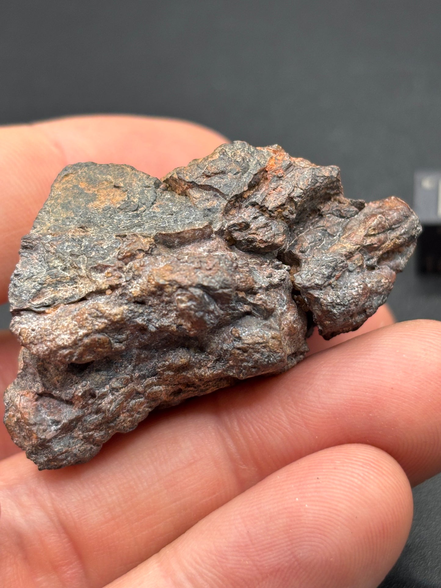 Wolf Creek Iron, IIIAB — Individual (58.3g)