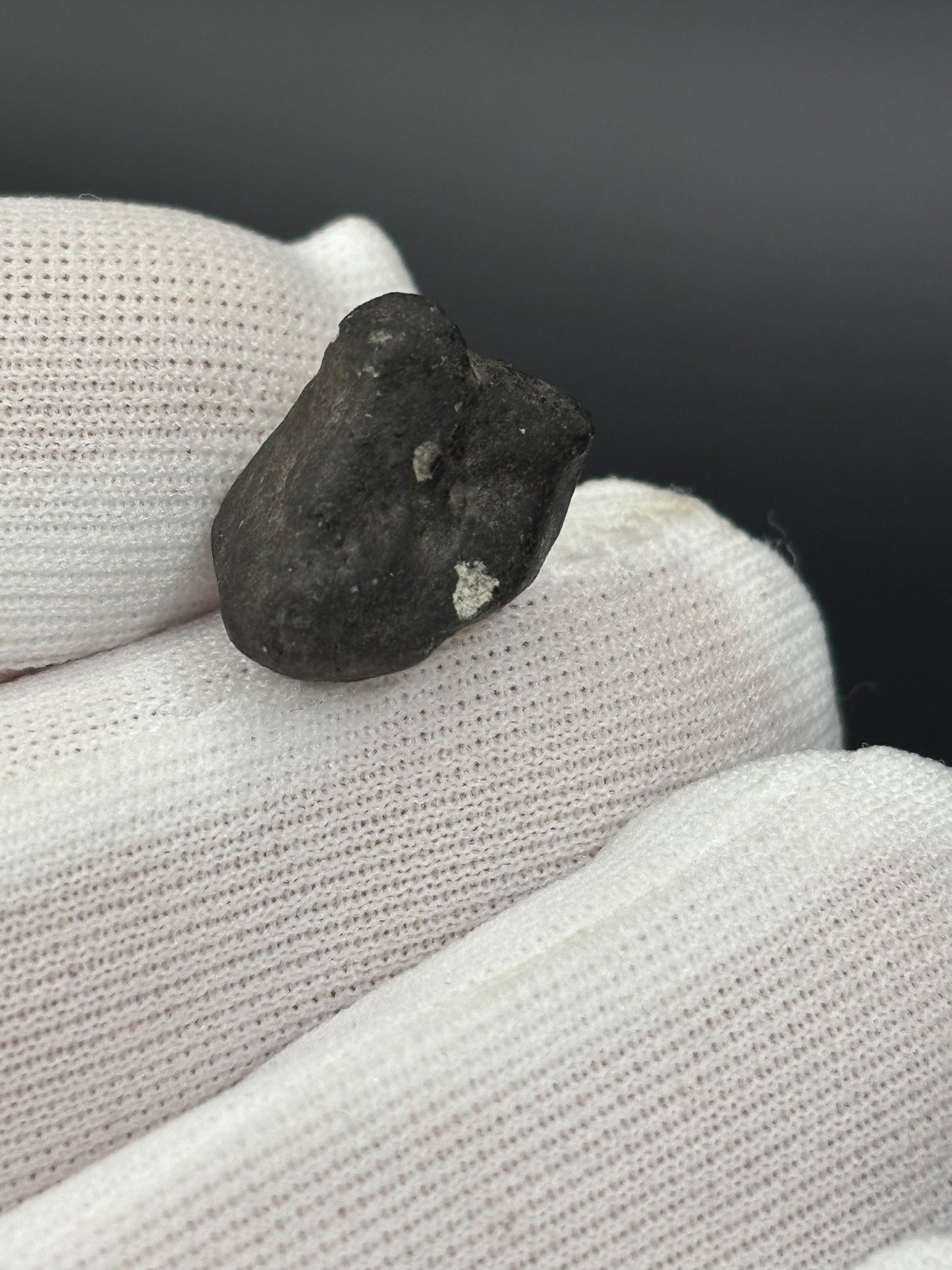 Holbrook Meteorite Specimen Historic 1912 Arizona Observed Fall Official L/LL6 Chondrite