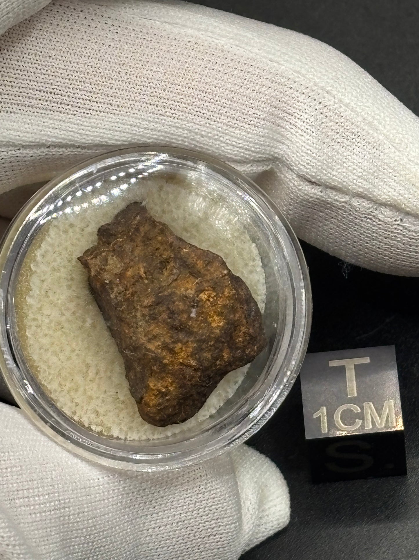 Wagon Mound Meteorite Specimen Official L6 Chondrite New Mexico Meteorite Found 1932
