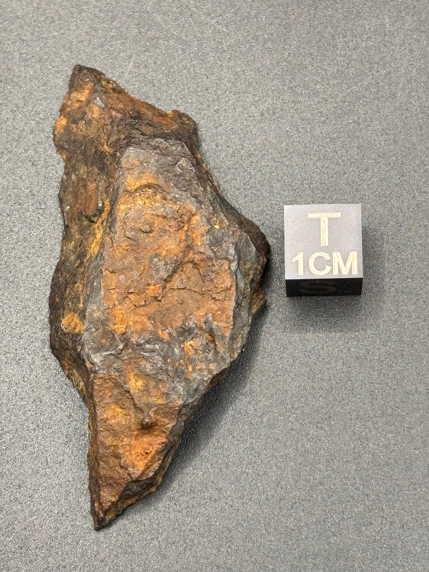 Toluca Iron Meteorite Specimen Historic IAB-sLL Iron Meteorite Mexico Found 1776