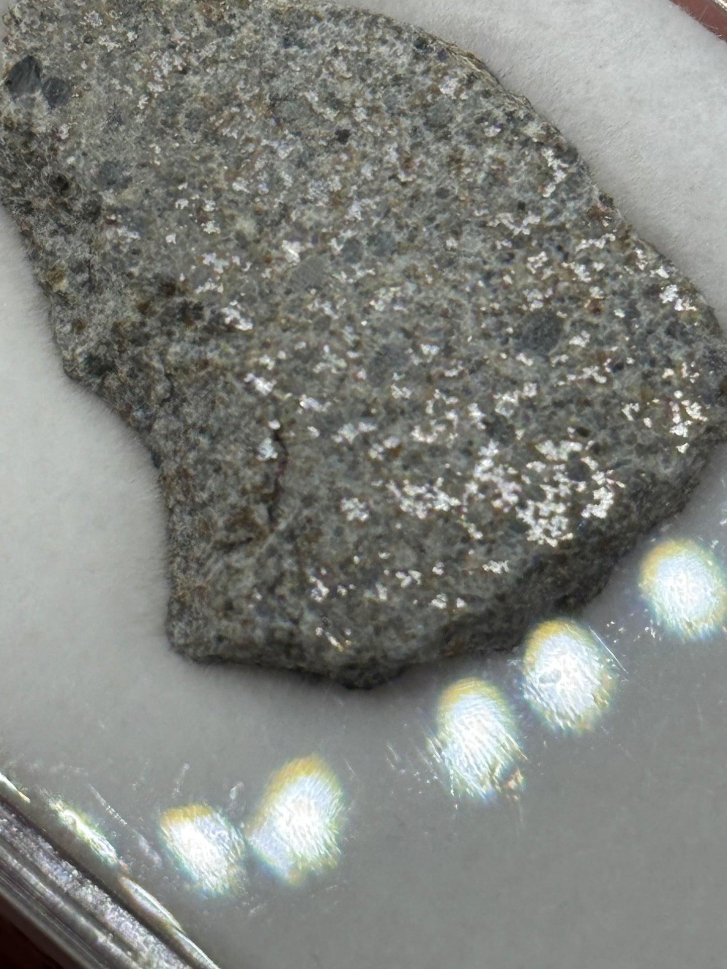 El Hammami Meteorite Specimen Official H5 Chondrite Mauritania Meteorite Historic Desert Find