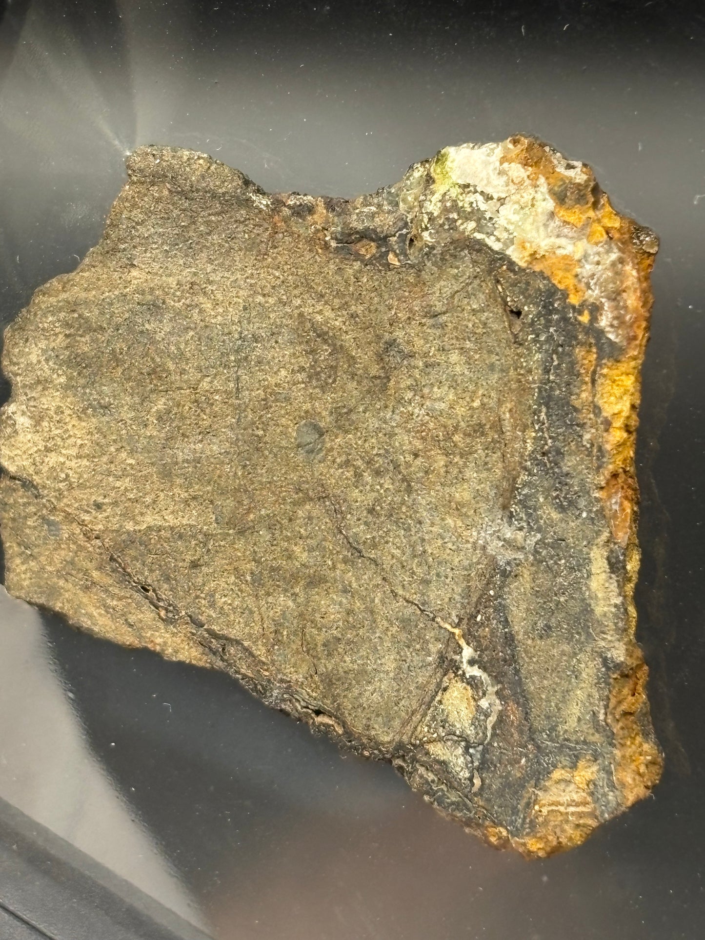 Al Haggounia 010 Aubrite Meteorite Specimen Official Enstatite Achondrite Western Sahara