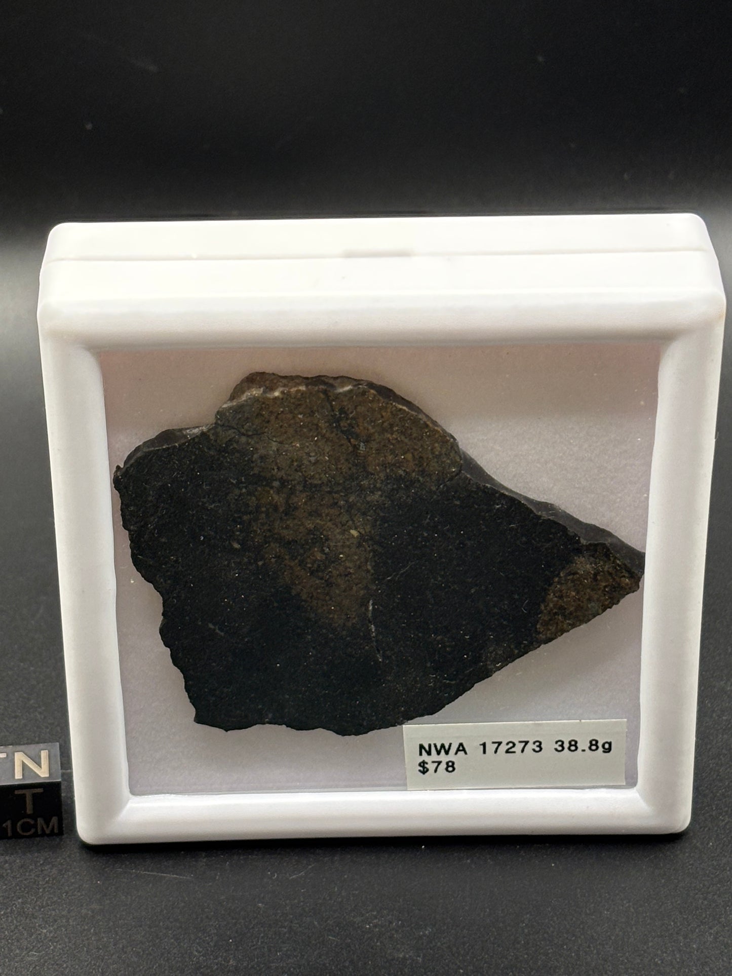 NWA 17273 Meteorite Specimen Official L5 Melt Breccia Northwest Africa Meteorite