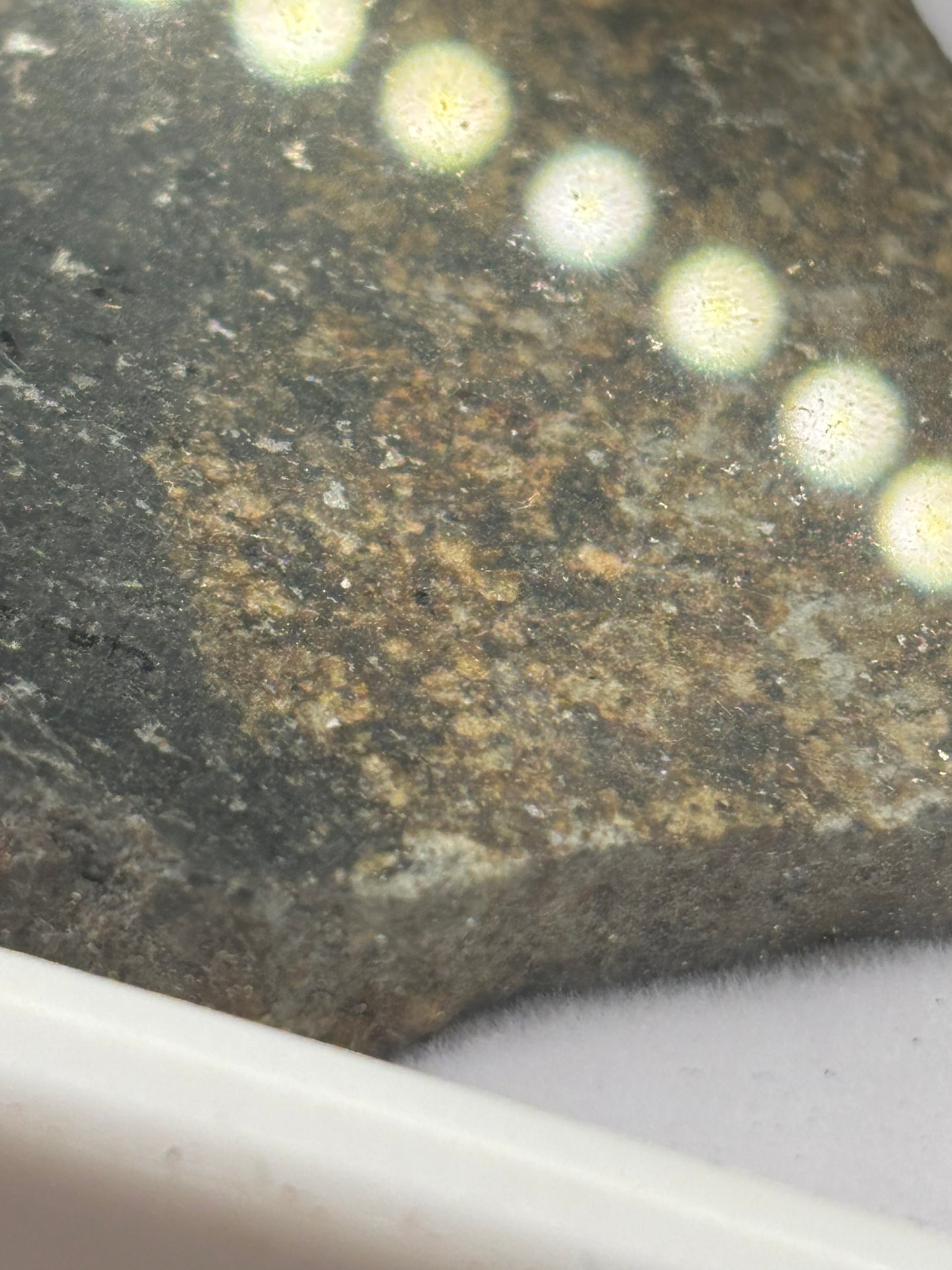 NWA 17273 Meteorite Specimen Official L5 Melt Breccia Northwest Africa Meteorite