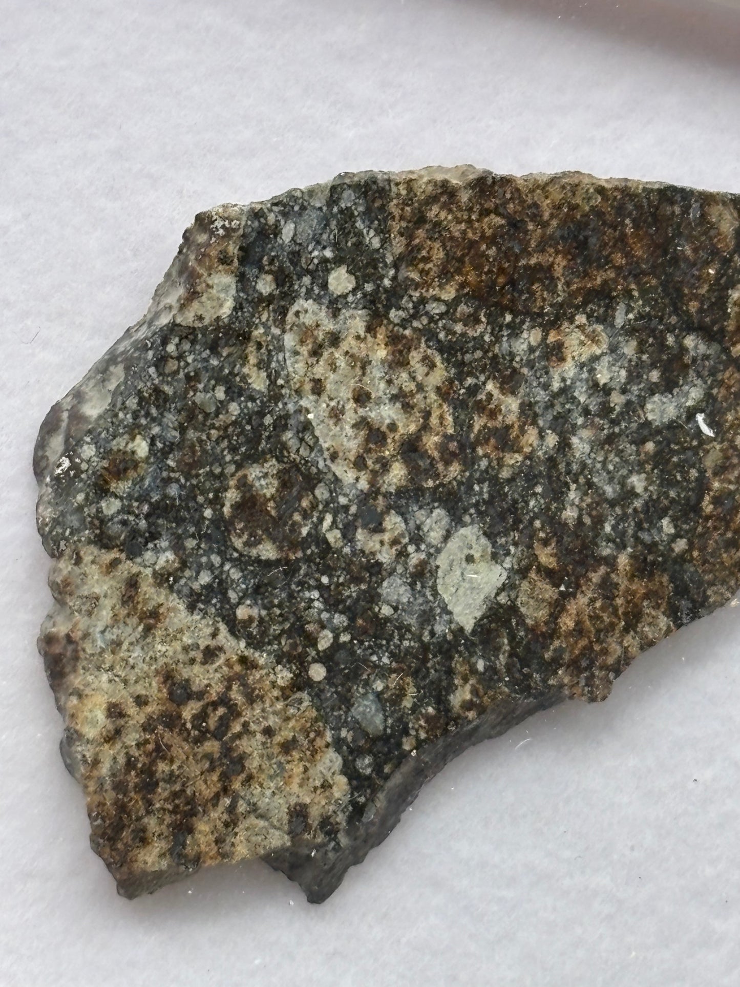 NWA 16802 Meteorite Specimen Official H5 Melt Breccia Northwest Africa Meteorite