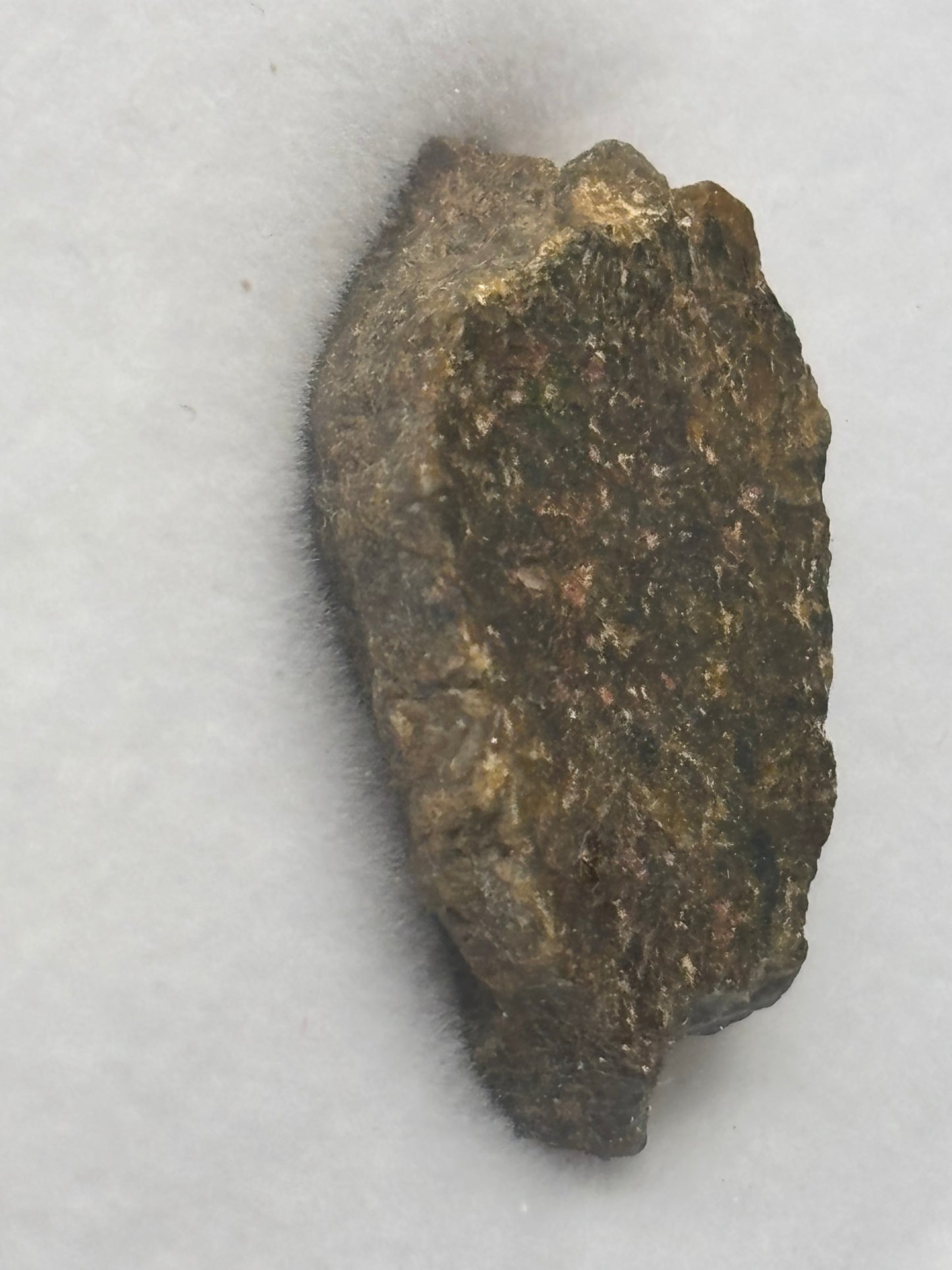 NWA 16317 Diogenite Meteorite Specimen Official HED Achondrite Northwest Africa Meteorite