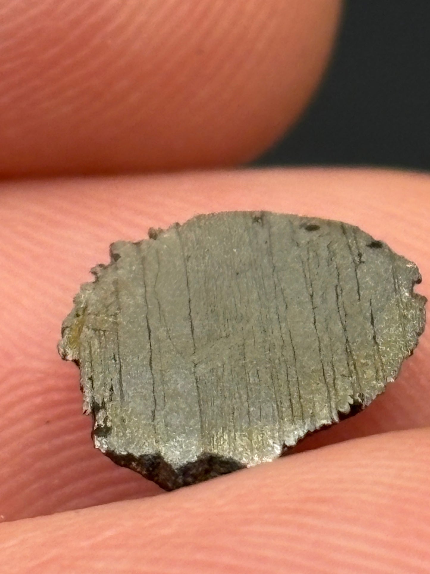 Bagdad Iron Meteorite (IIIAB) – Historic Arizona Find Near Burro Creek – Official Meteorite – 1959 Discovery