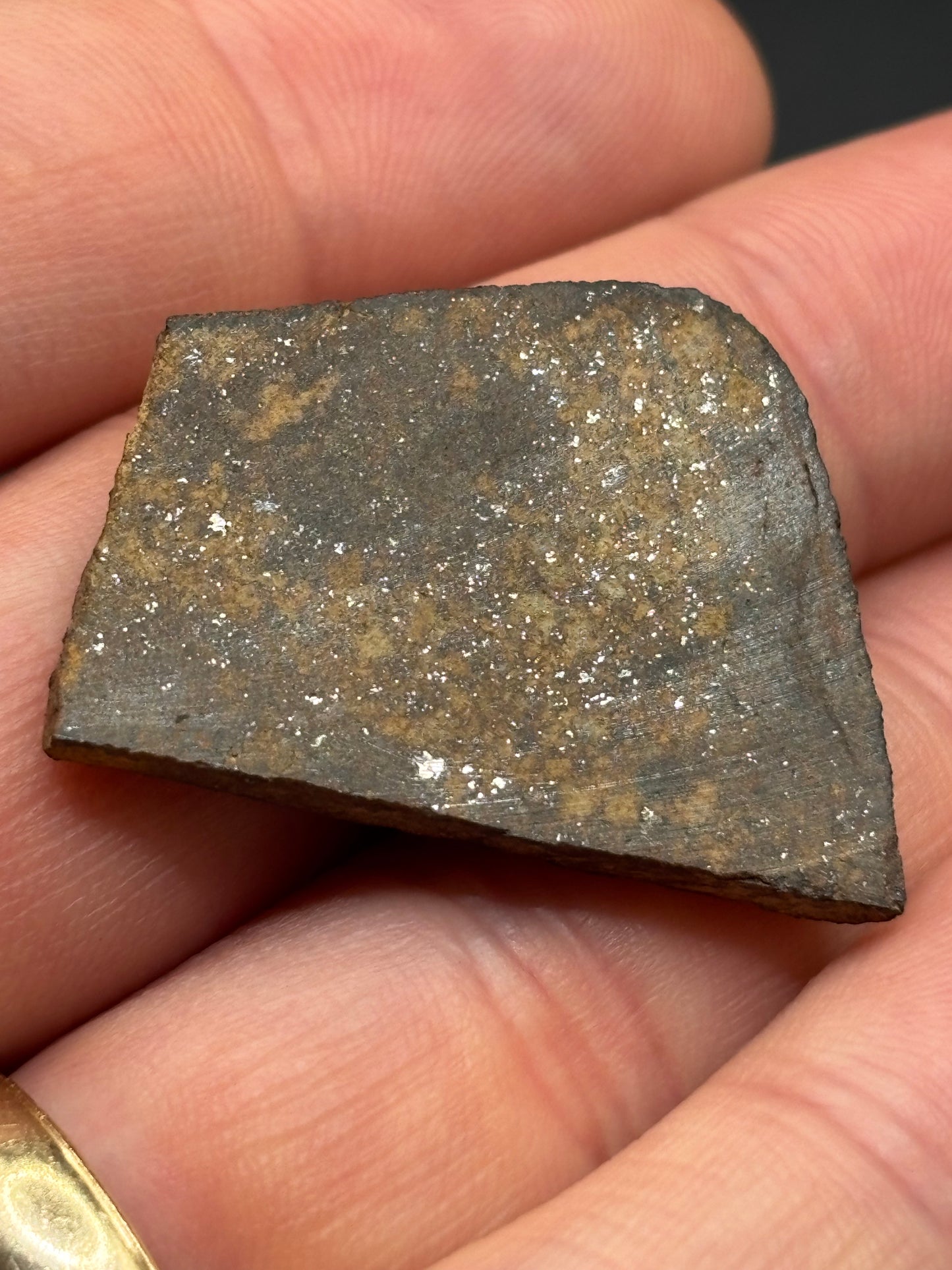 Bullhead City Meteorite Slice (7.3 Grams) – Official Arizona L6 Chondrite