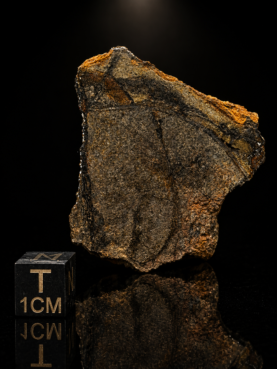 Al Haggounia 010 Aubrite Meteorite Specimen Official Enstatite Achondrite Western Sahara