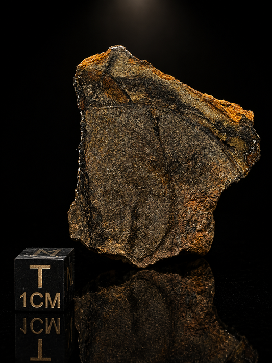 Al Haggounia 010 Aubrite Meteorite Specimen Official Enstatite Achondrite Western Sahara