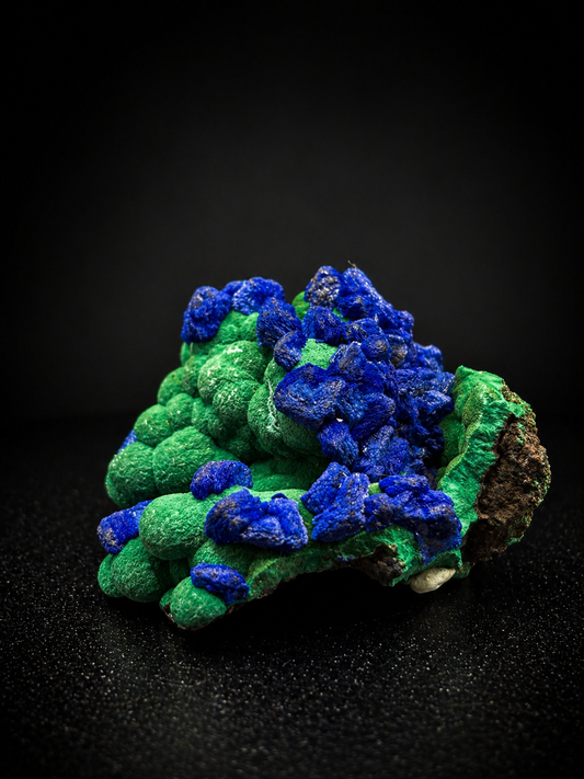 Deep Blue Azurite on Malachite – Black Prince Mine, Philipsburg, Montana USA
