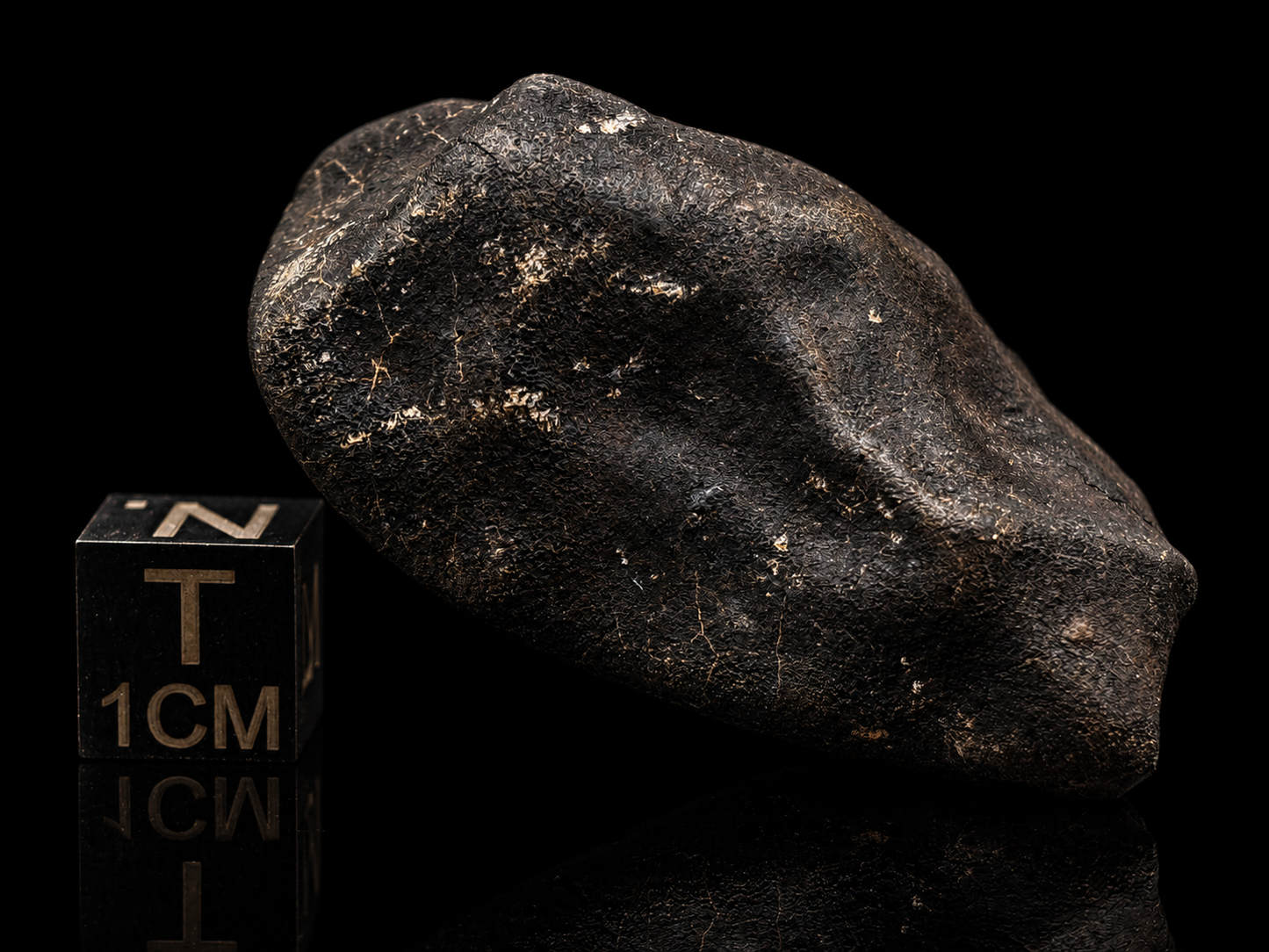 Bensour Meteorite Specimen Historic 2002 Observed Fall Official LL6 Morocco Meteorite