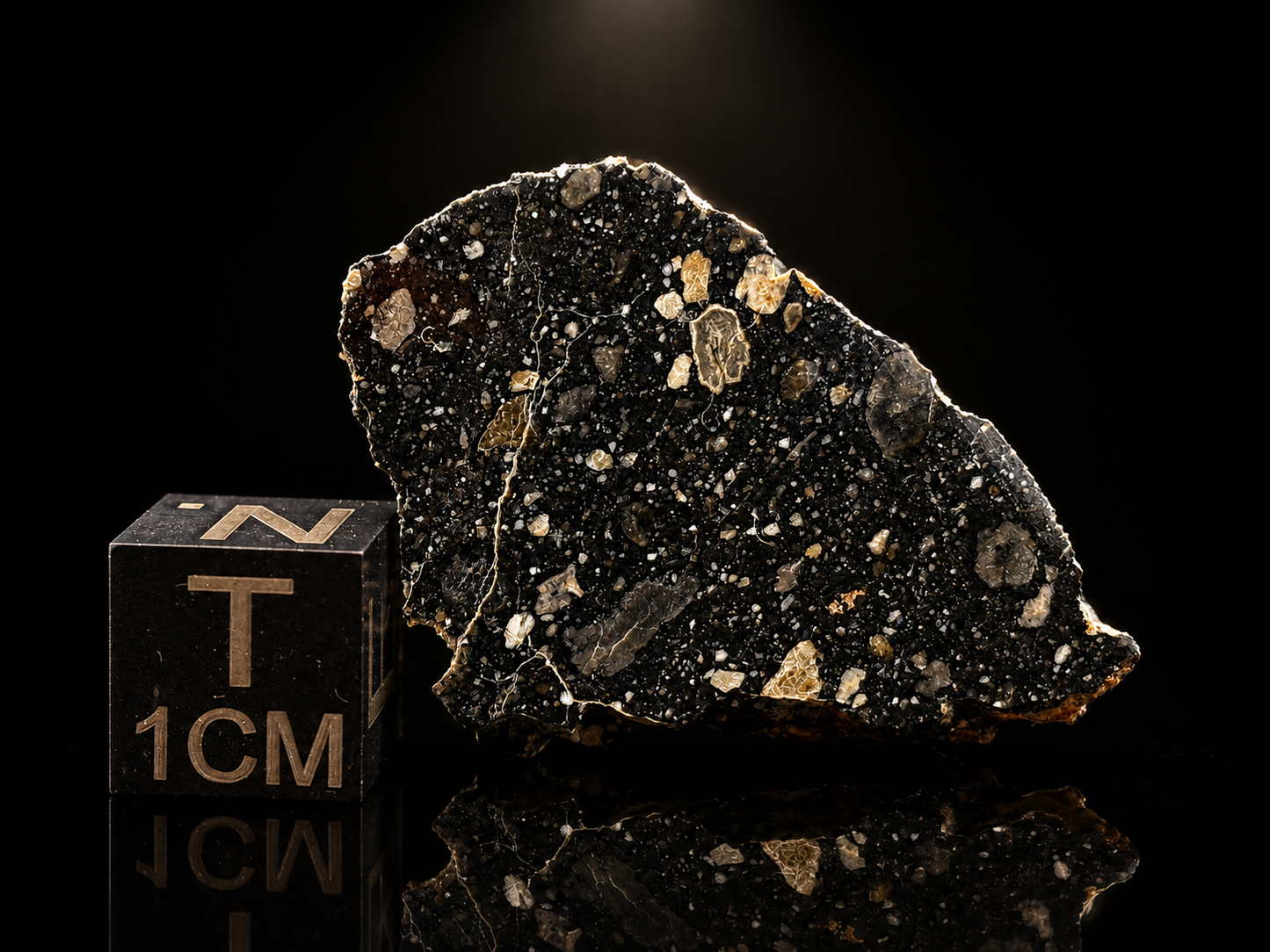 NWA 17859 "Black Lunar" Meteorite Specimen Official Feldspathic Breccia Moon Meteorite