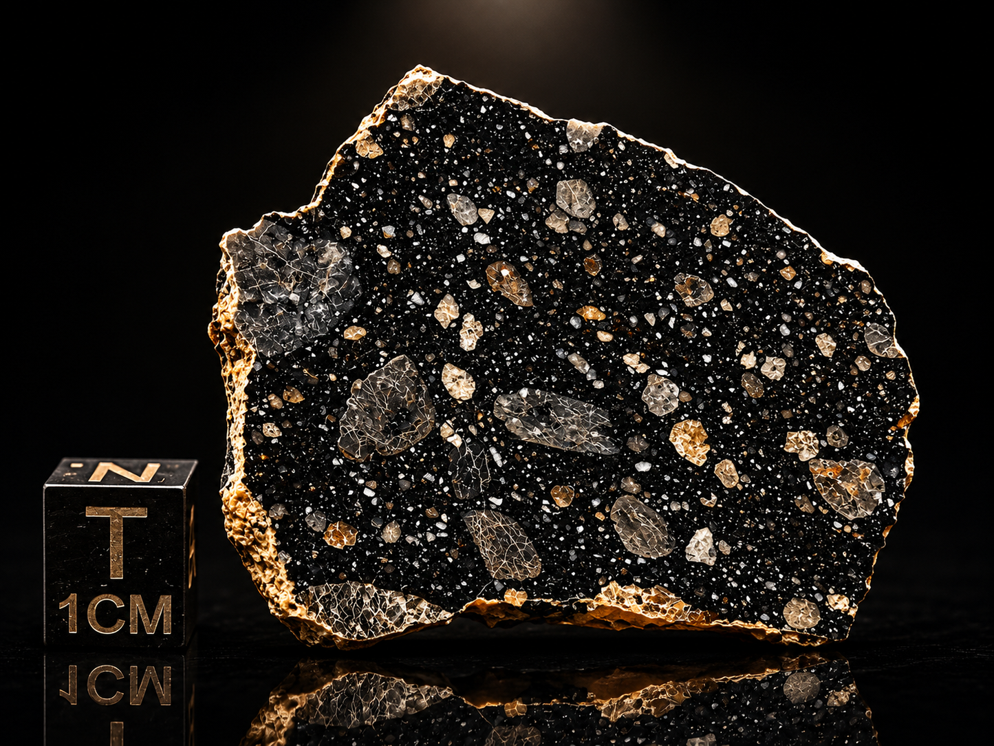 NWA 17859 "Black Lunar" Meteorite Specimen Official Feldspathic Breccia Moon Meteorite