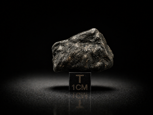Bruderheim L6 Chondrite — Individual (7.9g)