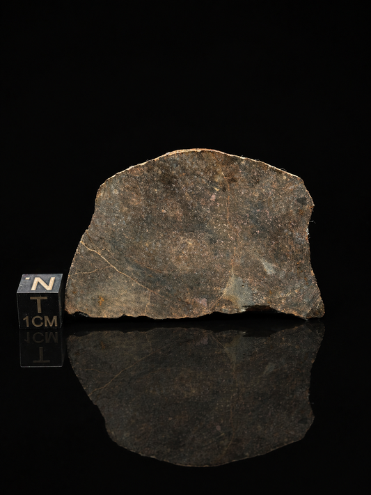 Buck Mountain Wash H3-5 Chondrite Meteorite — Slice (30.8g)