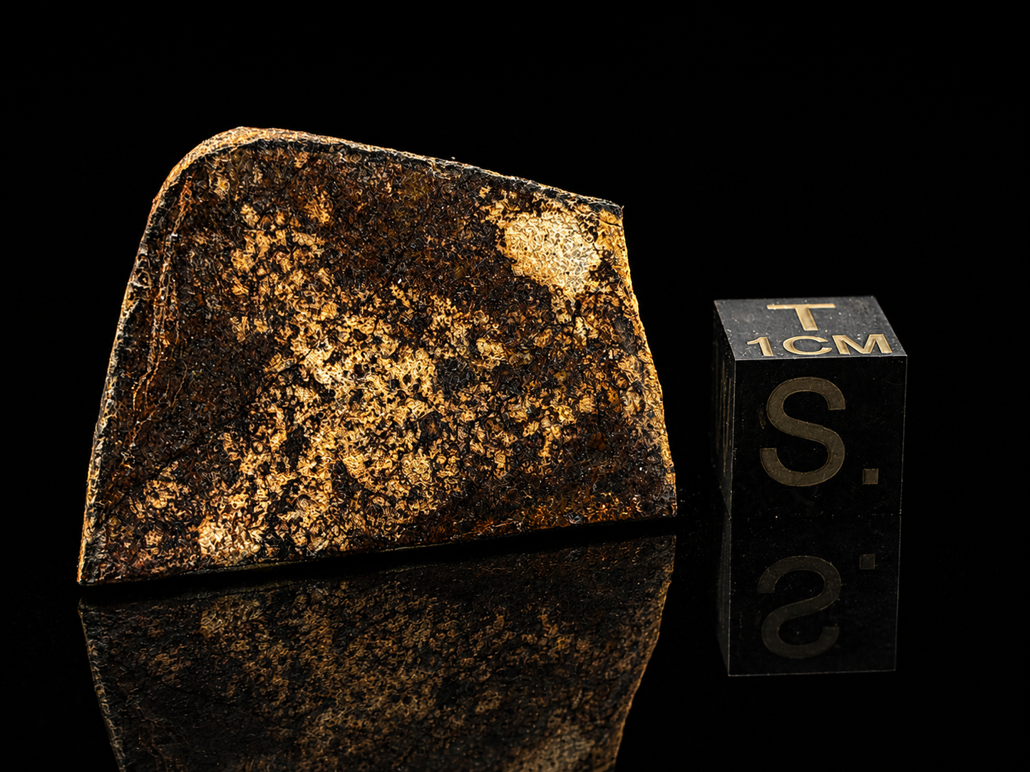 Bullhead City Meteorite Slice (7.3 Grams) – Official Arizona L6 Chondrite