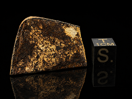 Bullhead City Meteorite Slice (7.3 Grams) – Official Arizona L6 Chondrite