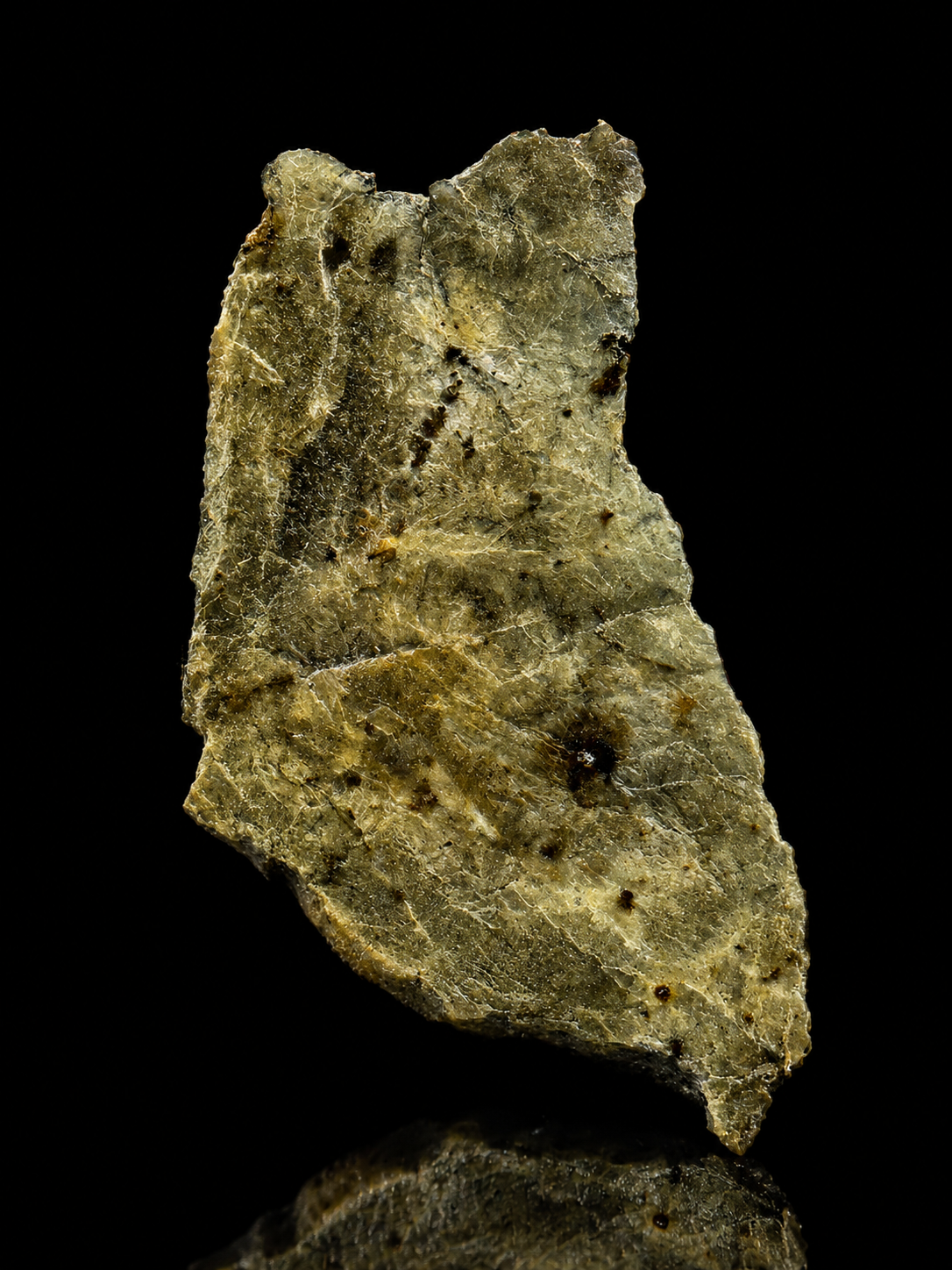 Djoua 001 Aubrite Meteorite Specimen Official Enstatite Achondrite Algeria Meteorite