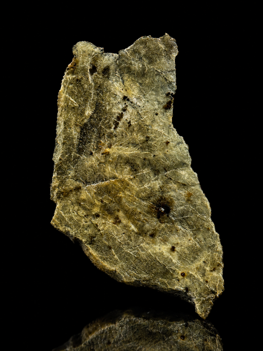 Djoua 001 Aubrite Meteorite Specimen Official Enstatite Achondrite Algeria Meteorite