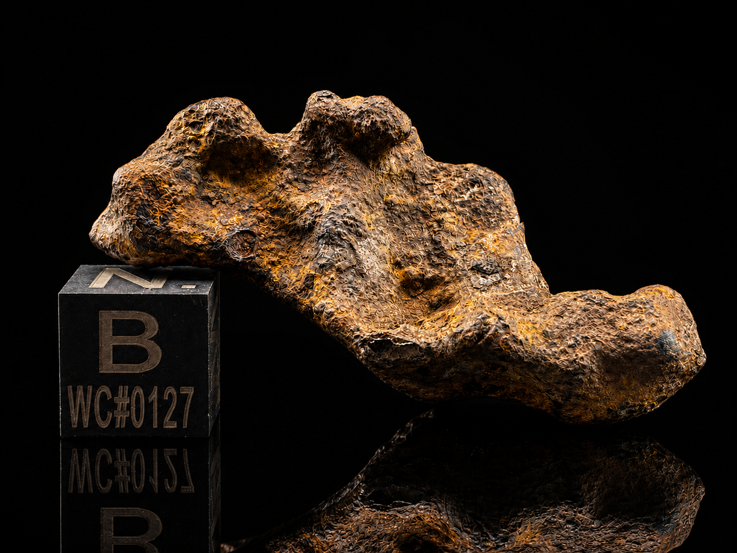 Glorieta Mountain Pallasite Meteorite Specimen Official PMG-an Pallasite New Mexico Meteorite