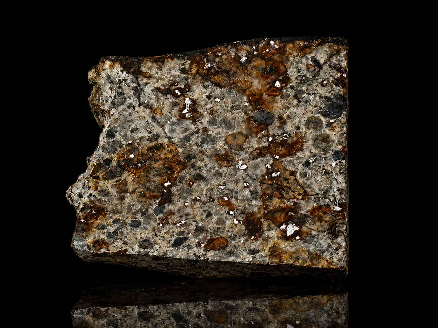 Holbrook Meteorite Slice Historic 1912 Arizona Observed Fall Official L/LL6 Chondrite