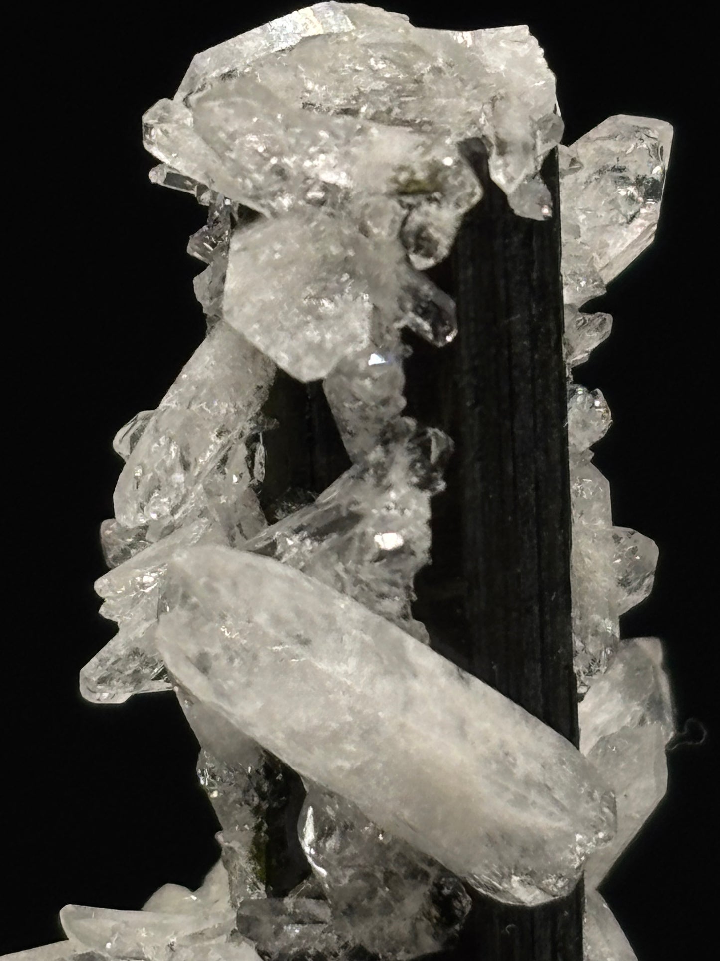 Quartz Crystals on Epidote – Minas Gerais, Brazil – Natural Mineral Specimen