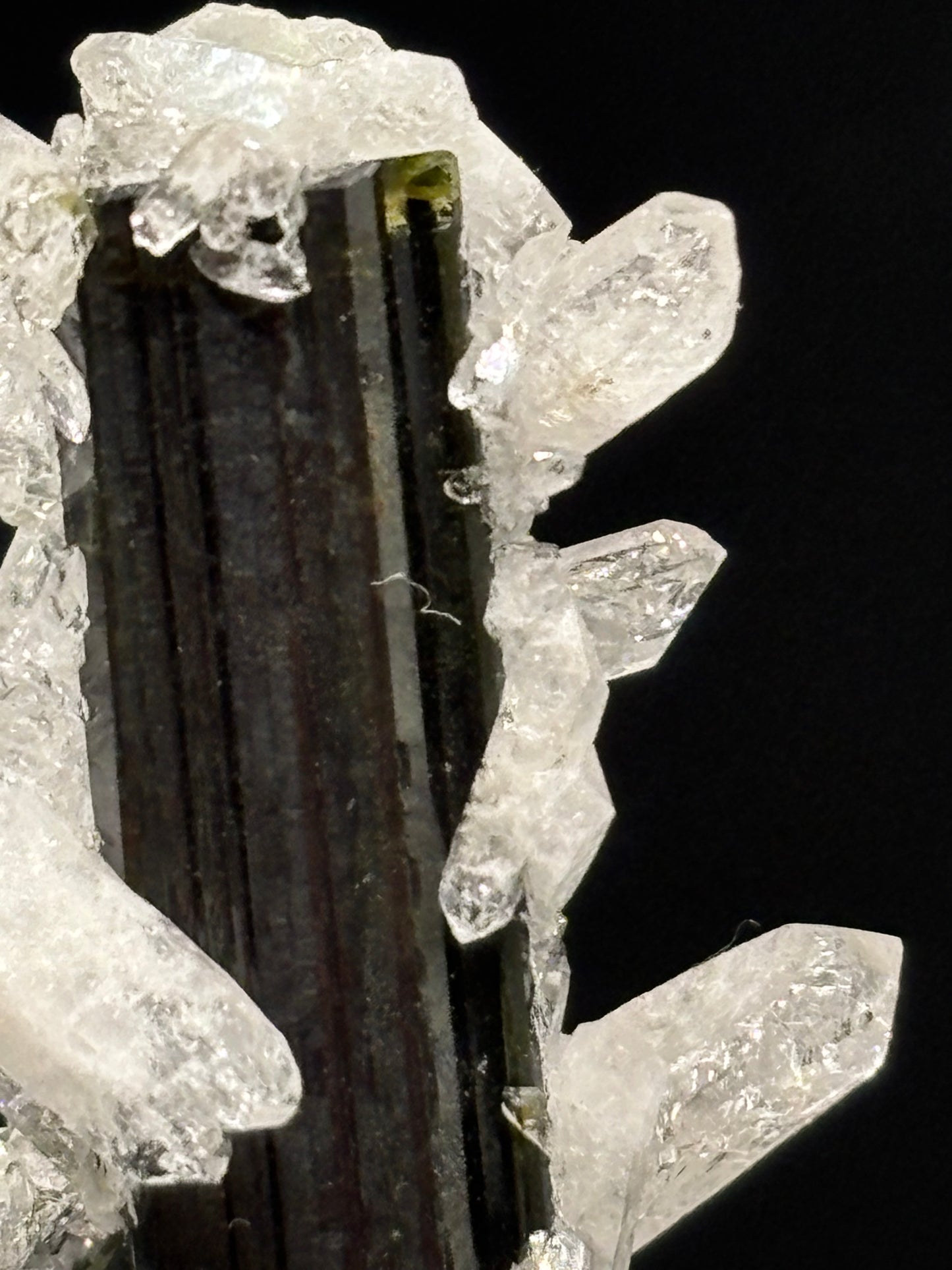 Quartz Crystals on Epidote – Minas Gerais, Brazil – Natural Mineral Specimen