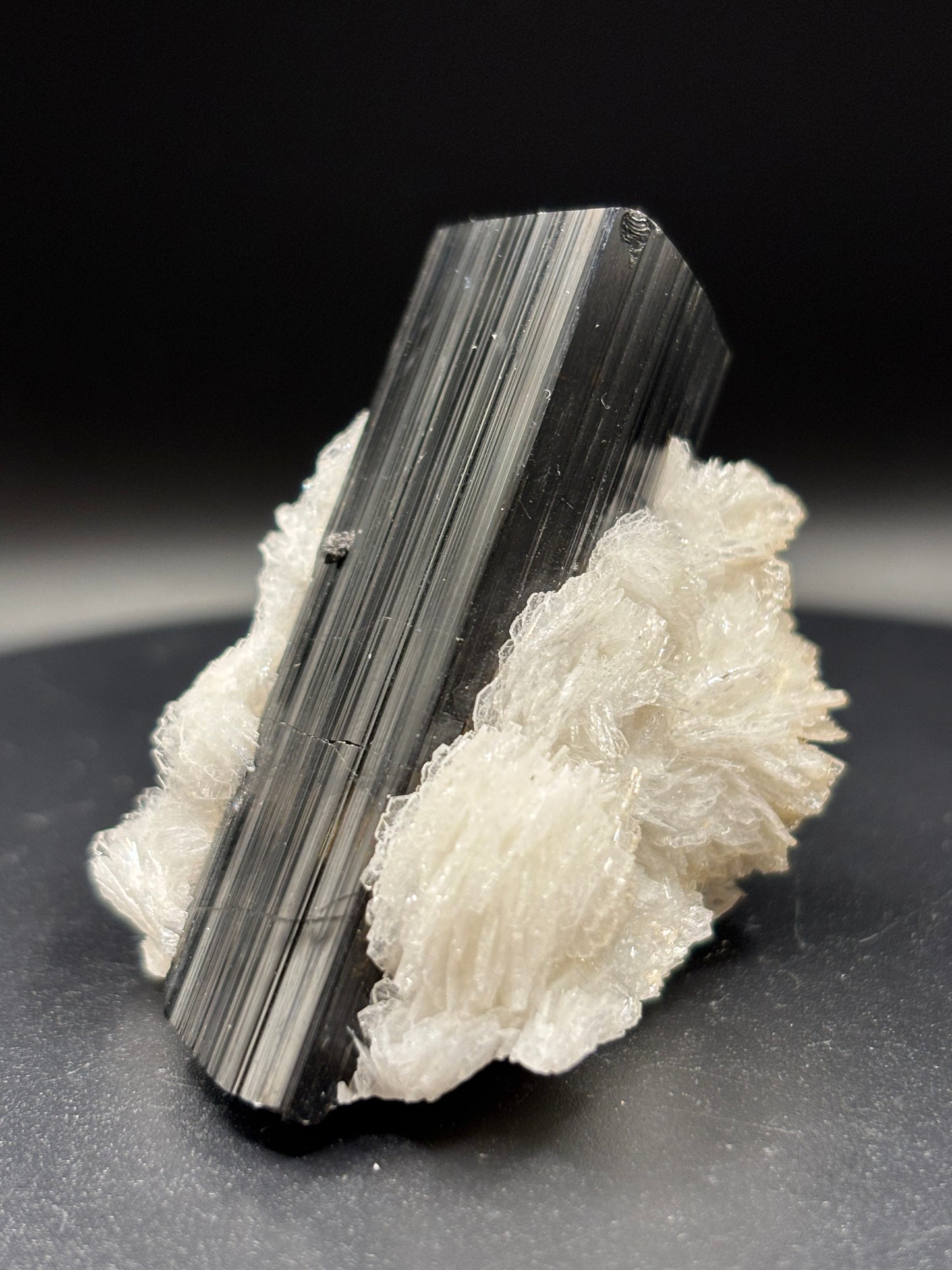 Schorl Tourmaline on Albite – Astak, Pakistan – Crystal Specimen