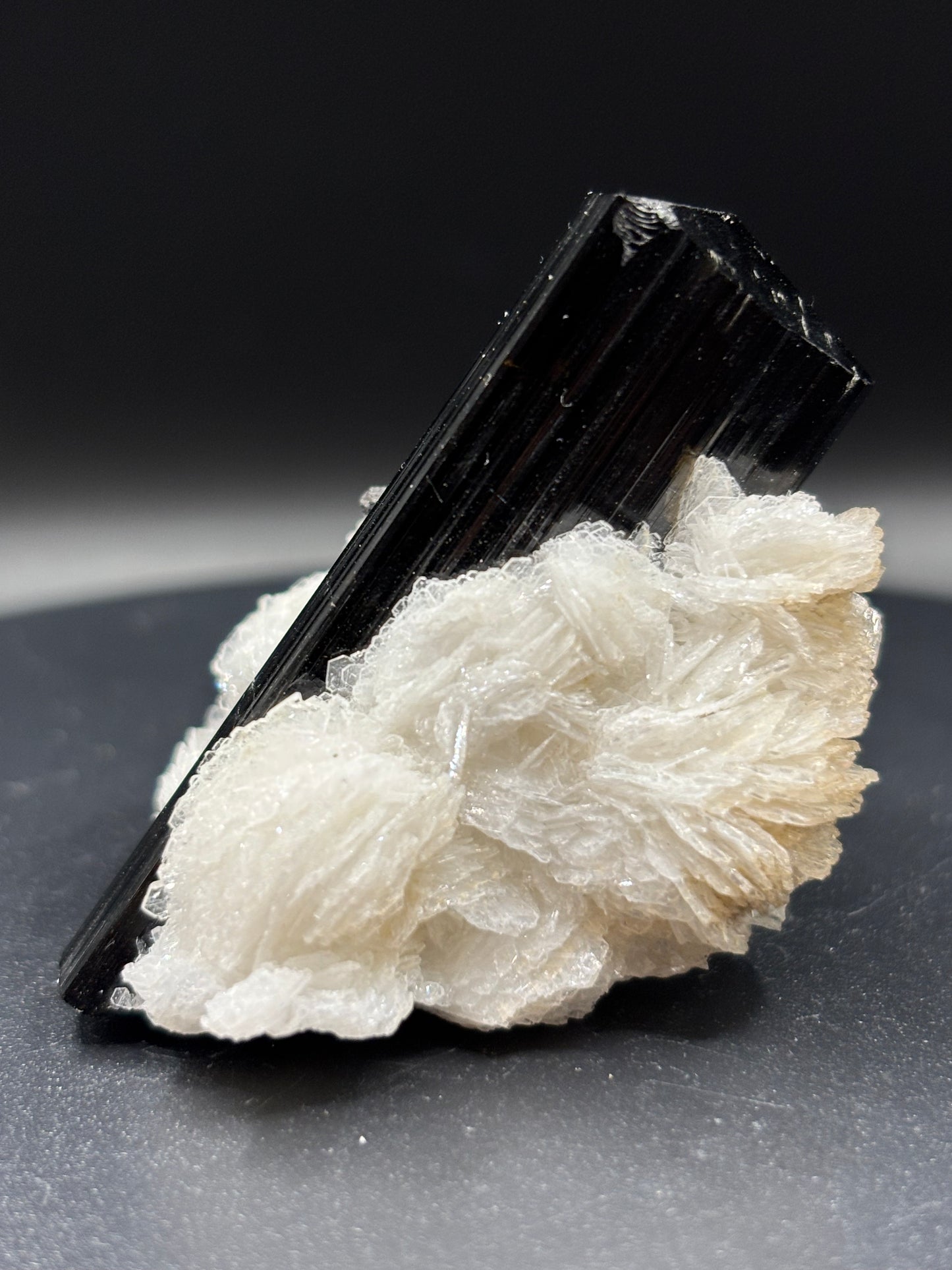 Schorl Tourmaline on Albite – Astak, Pakistan – Crystal Specimen