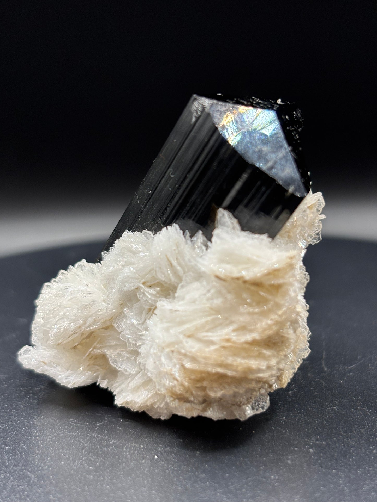 Schorl Tourmaline on Albite – Astak, Pakistan – Crystal Specimen