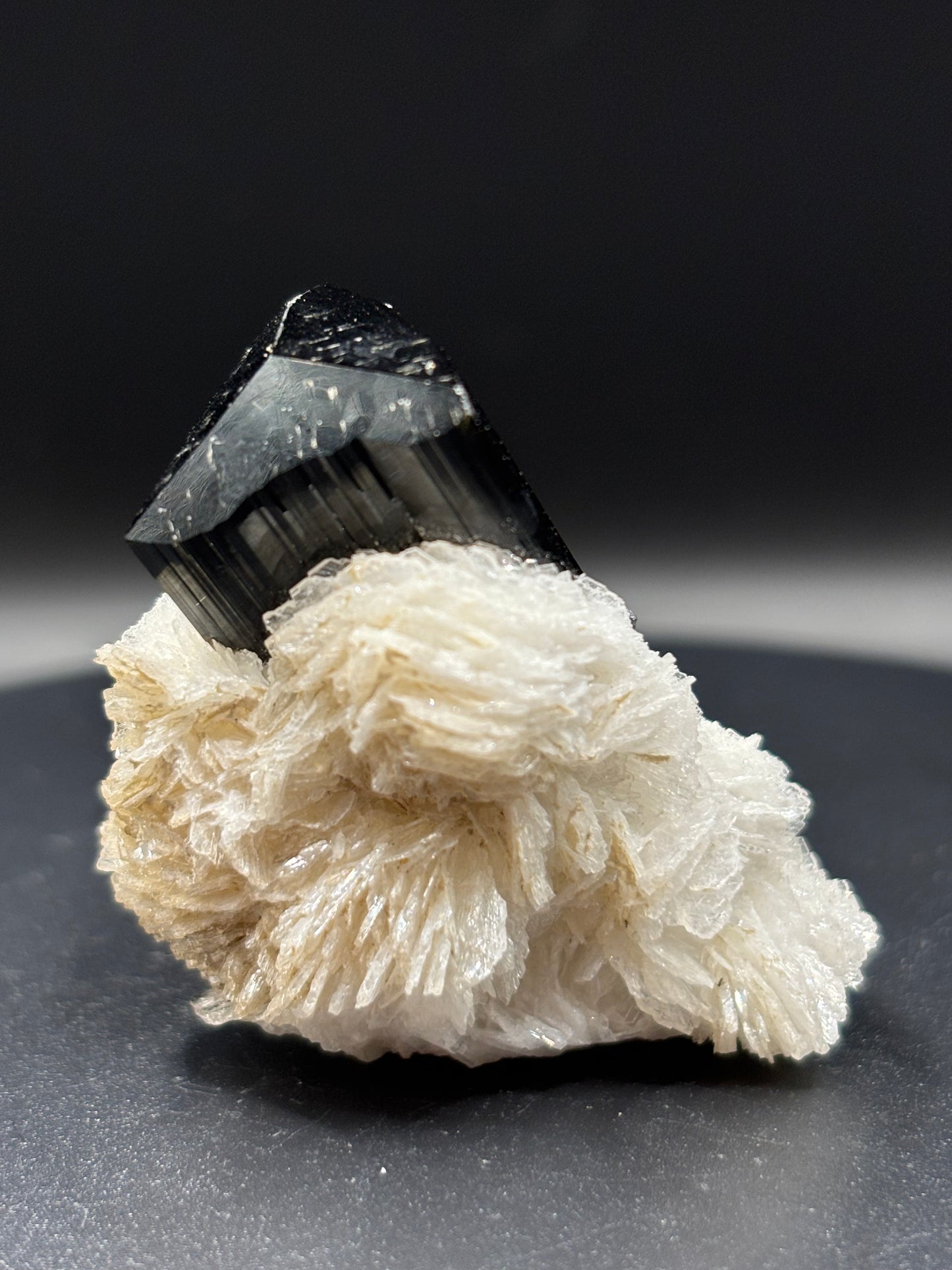 Schorl Tourmaline on Albite – Astak, Pakistan – Crystal Specimen