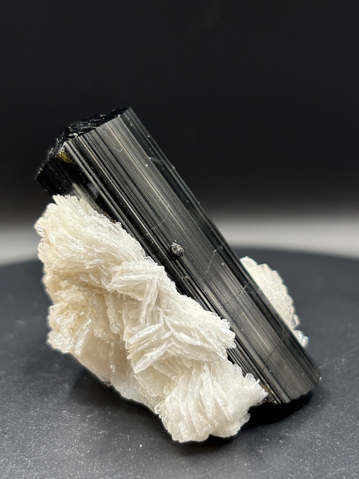 Schorl Tourmaline on Albite – Astak, Pakistan – Crystal Specimen