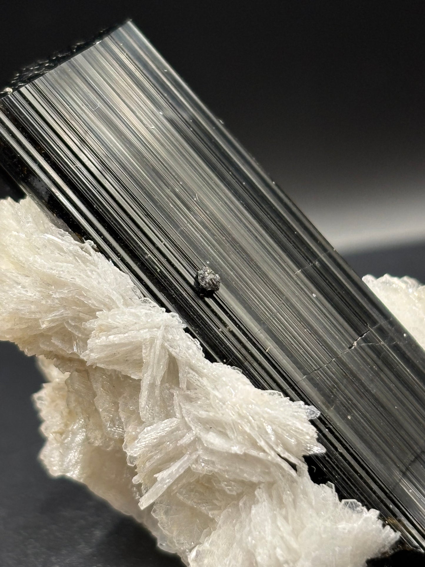 Schorl Tourmaline on Albite – Astak, Pakistan – Crystal Specimen