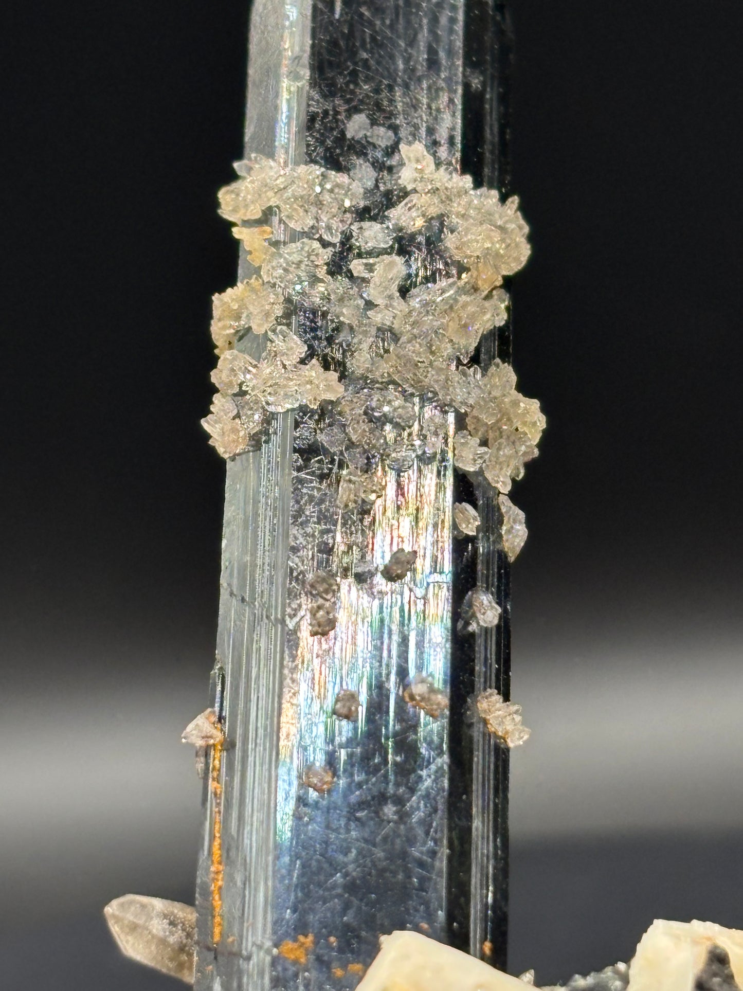 Aegirine Crystal on Feldspar & Quartz – Mount Malosa, Zomba Plateau, Malawi Africa