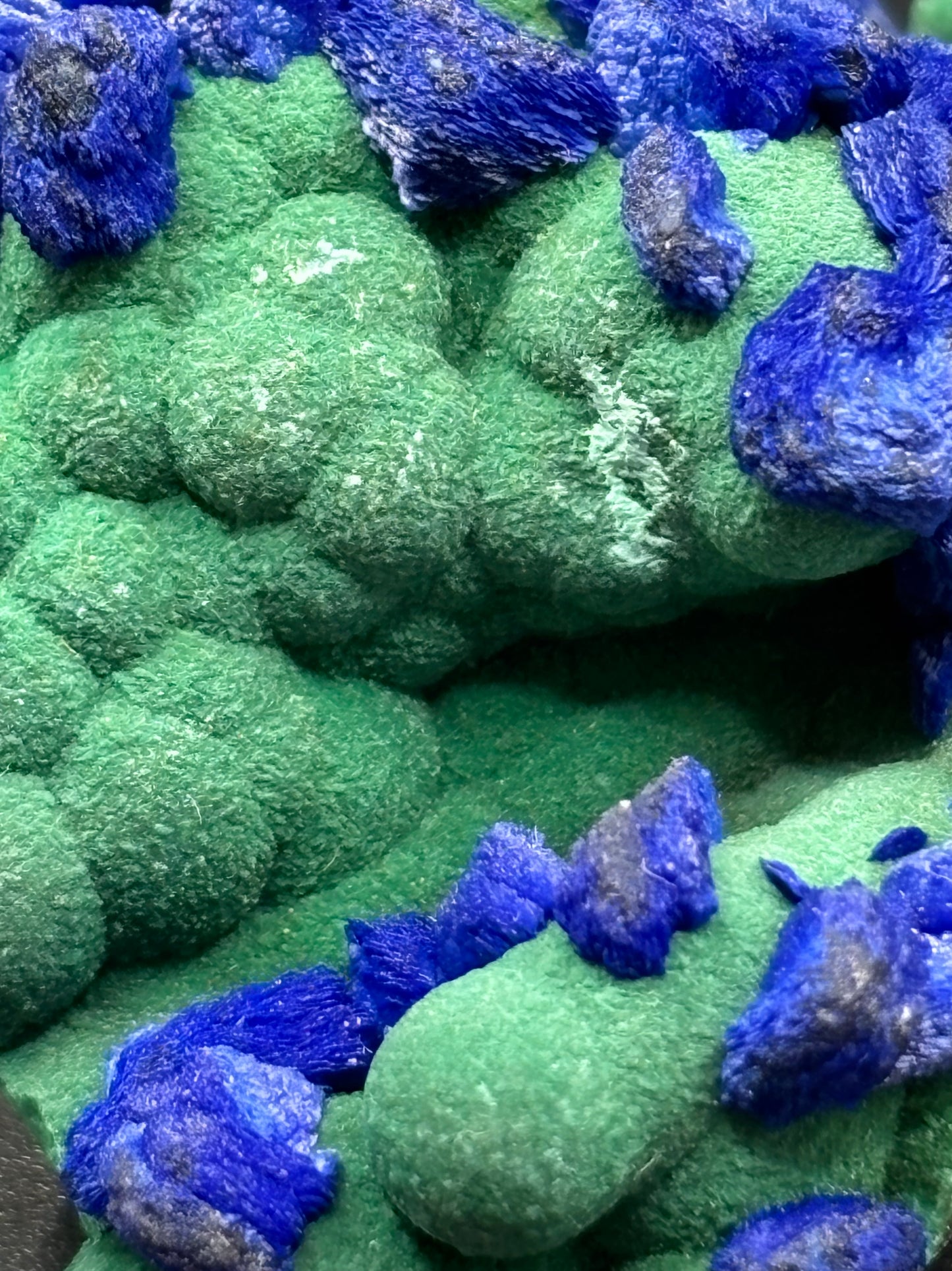 Deep Blue Azurite on Malachite – Black Prince Mine, Philipsburg, Montana USA