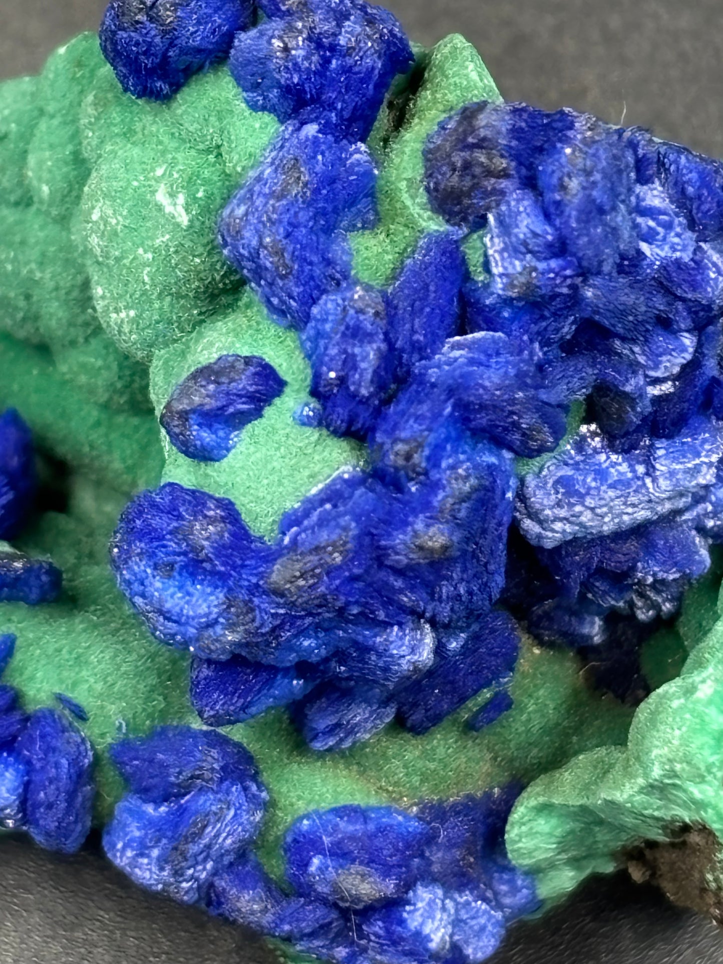 Deep Blue Azurite on Malachite – Black Prince Mine, Philipsburg, Montana USA