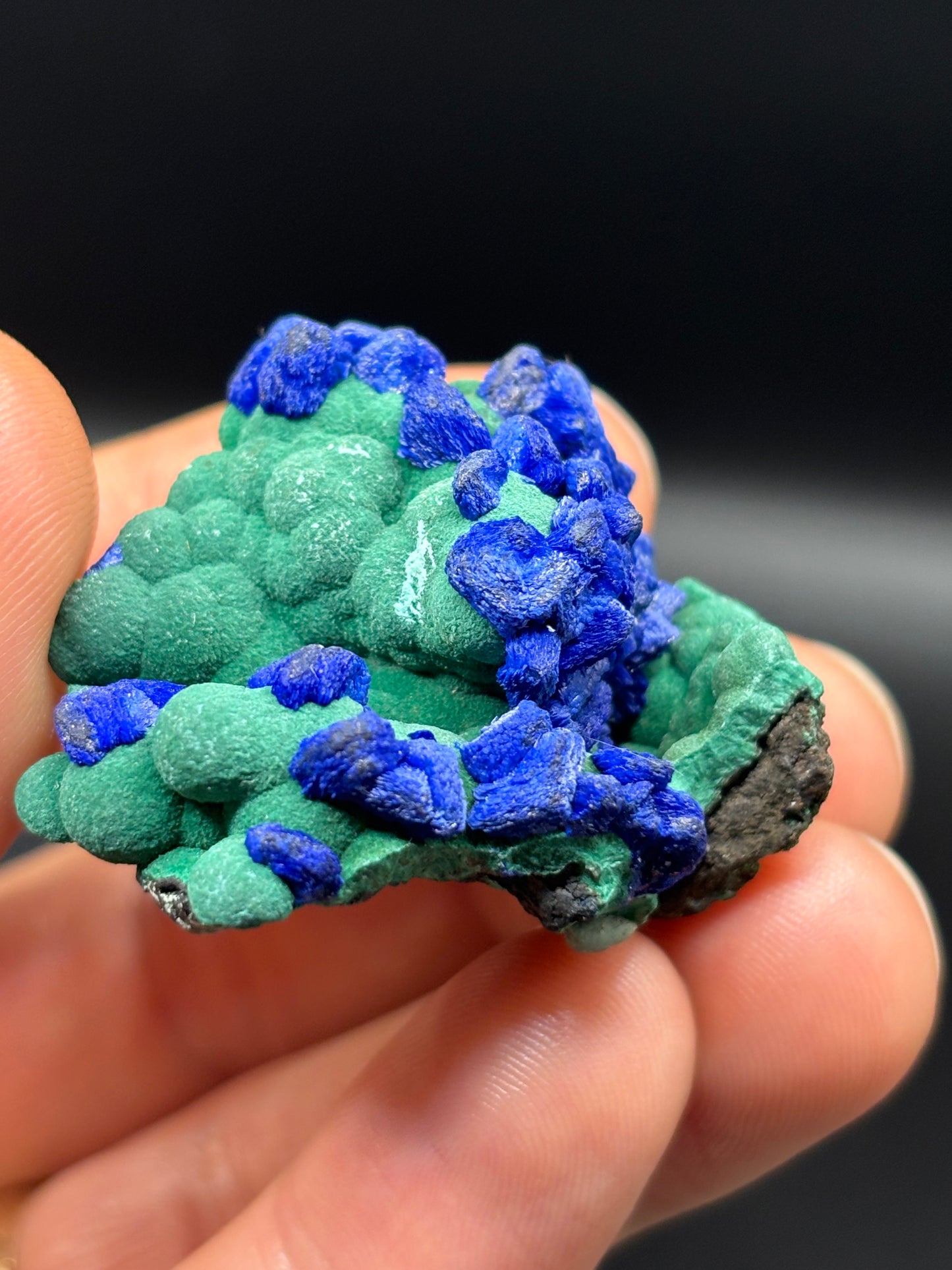 Deep Blue Azurite on Malachite – Black Prince Mine, Philipsburg, Montana USA