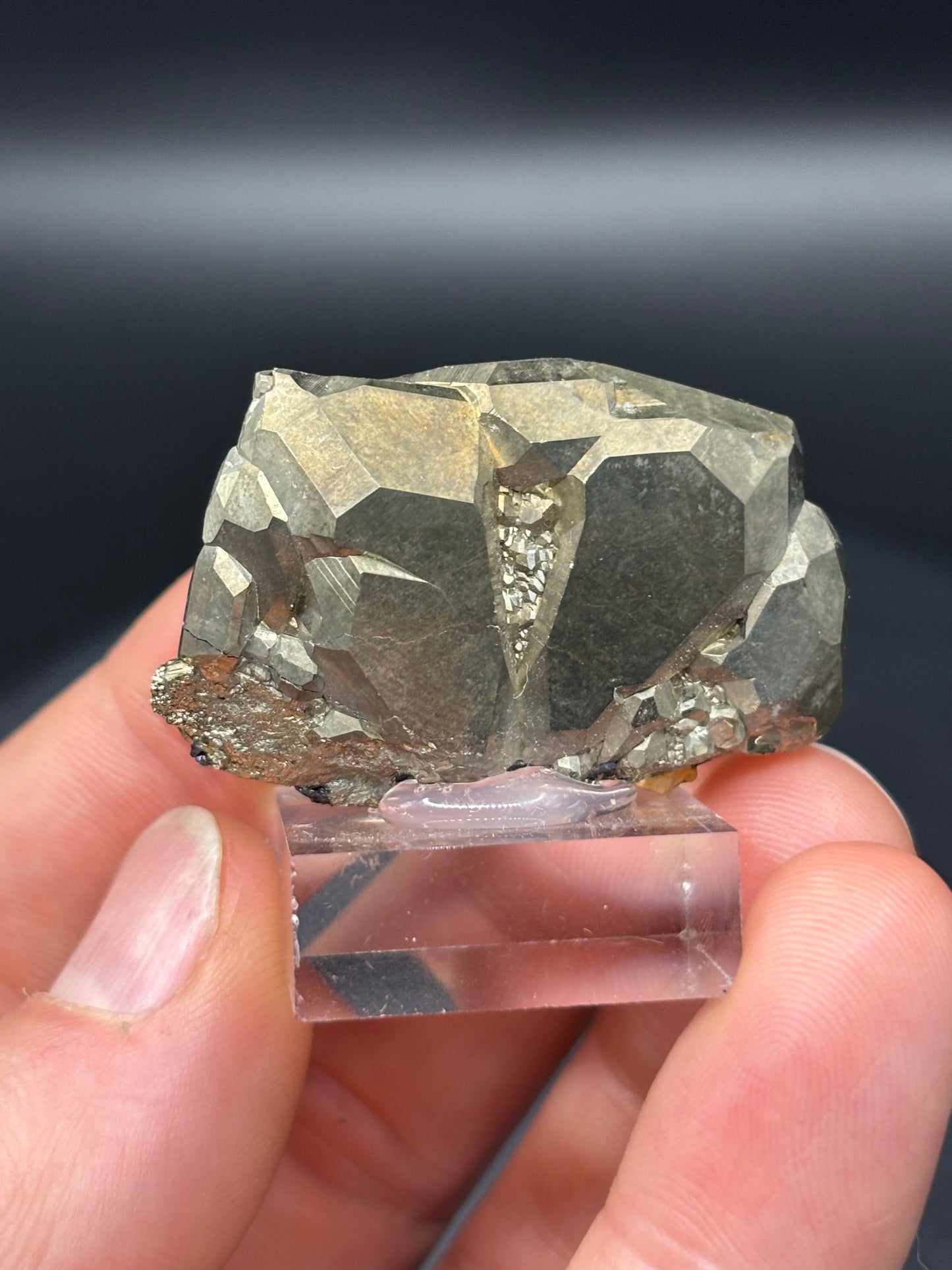 Pyrite Crystals – Nanisivik Mine, Stope 29, Baffin Island, Nunavut, Canada