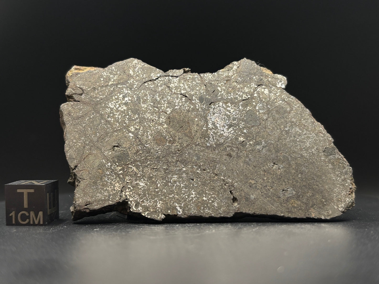 Mesosiderite Meteorite NWA 12949 – Metal-Rich Stony Iron – Authentic Space Rock