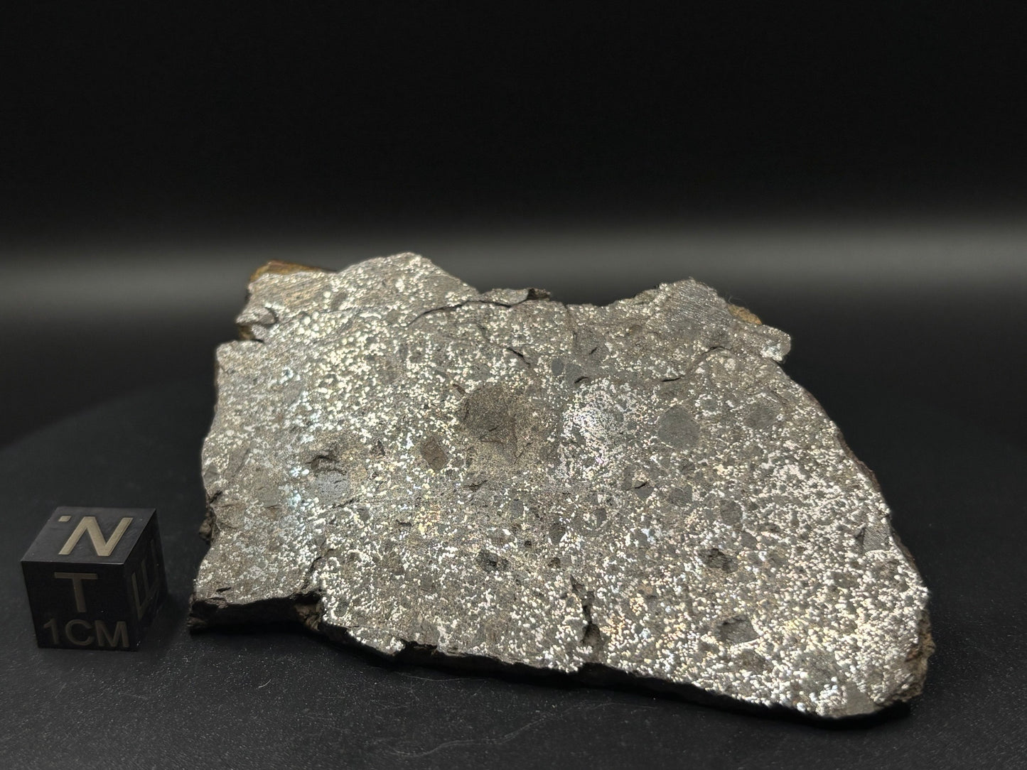 Mesosiderite Meteorite NWA 12949 – Metal-Rich Stony Iron – Authentic Space Rock