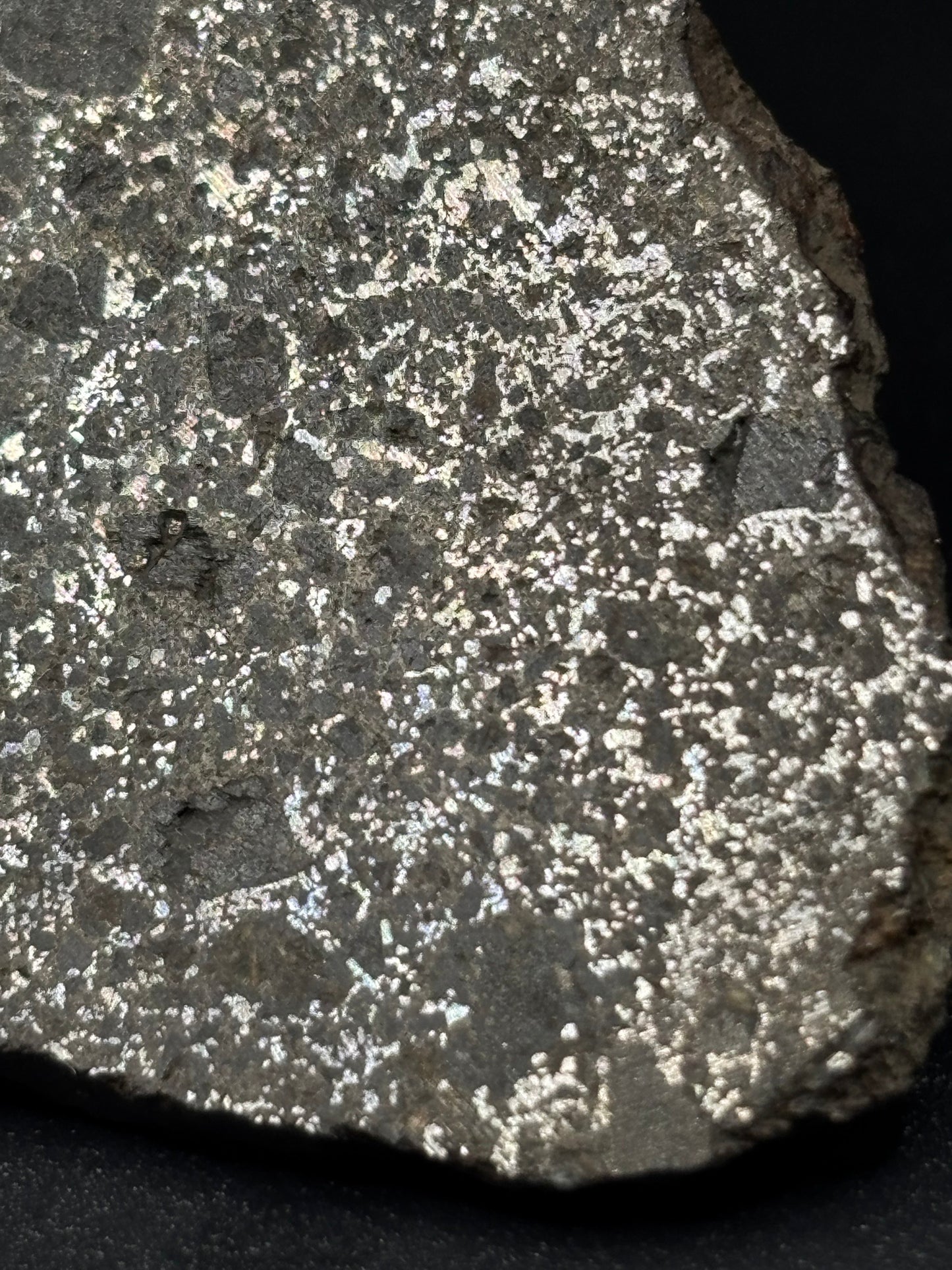Mesosiderite Meteorite NWA 12949 – Metal-Rich Stony Iron – Authentic Space Rock