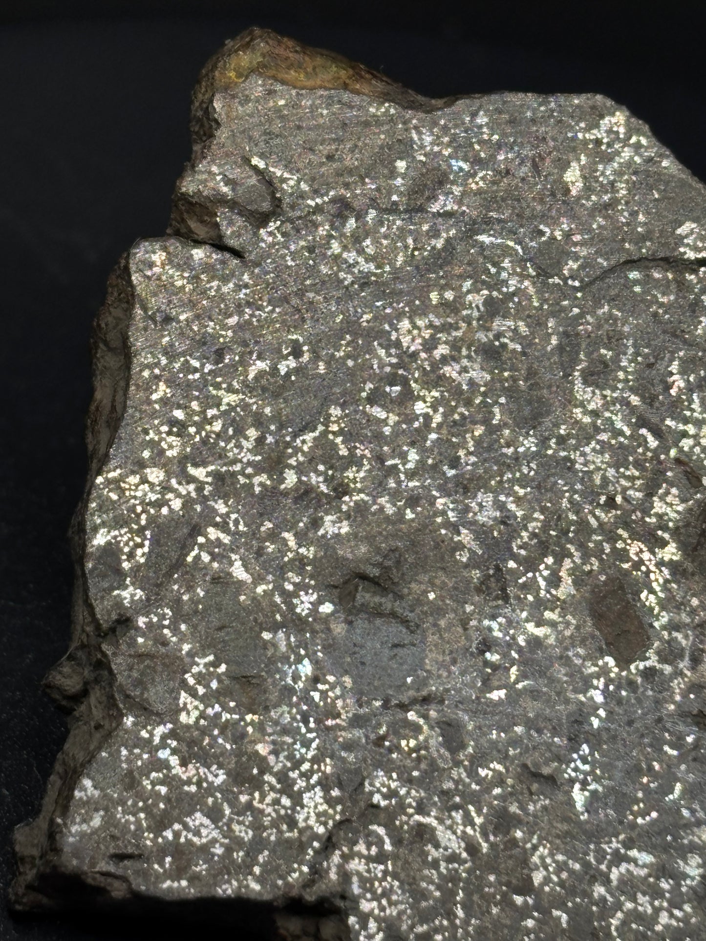 Mesosiderite Meteorite NWA 12949 – Metal-Rich Stony Iron – Authentic Space Rock