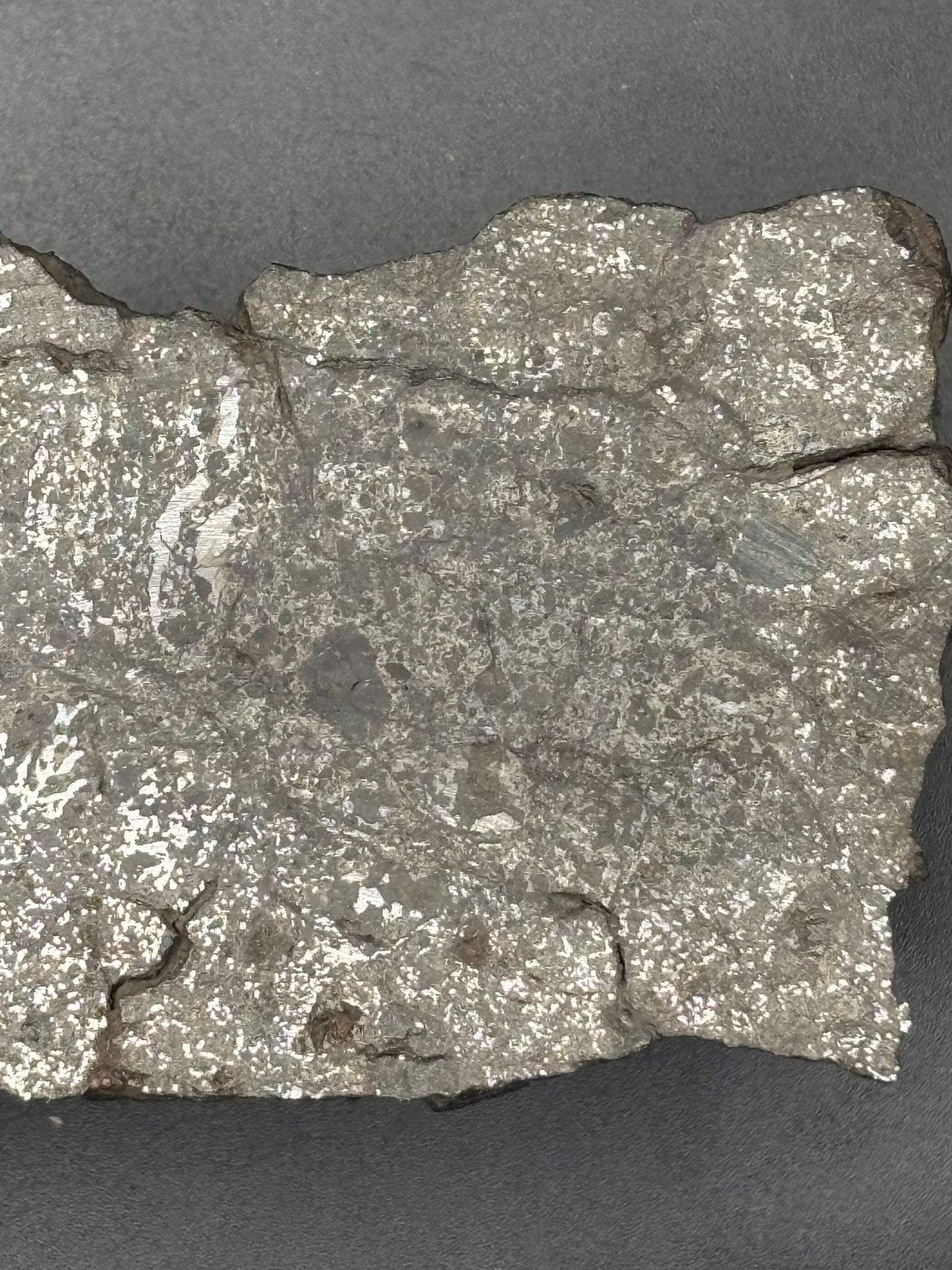 Mesosiderite Meteorite NWA 12949 – Metal-Rich Stony Iron – Authentic Space Rock