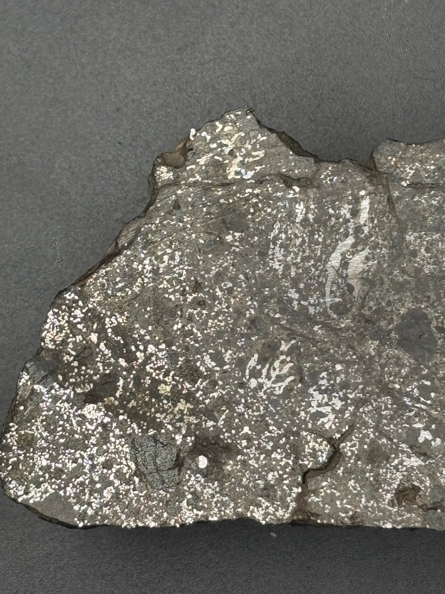 Mesosiderite Meteorite NWA 12949 – Metal-Rich Stony Iron – Authentic Space Rock