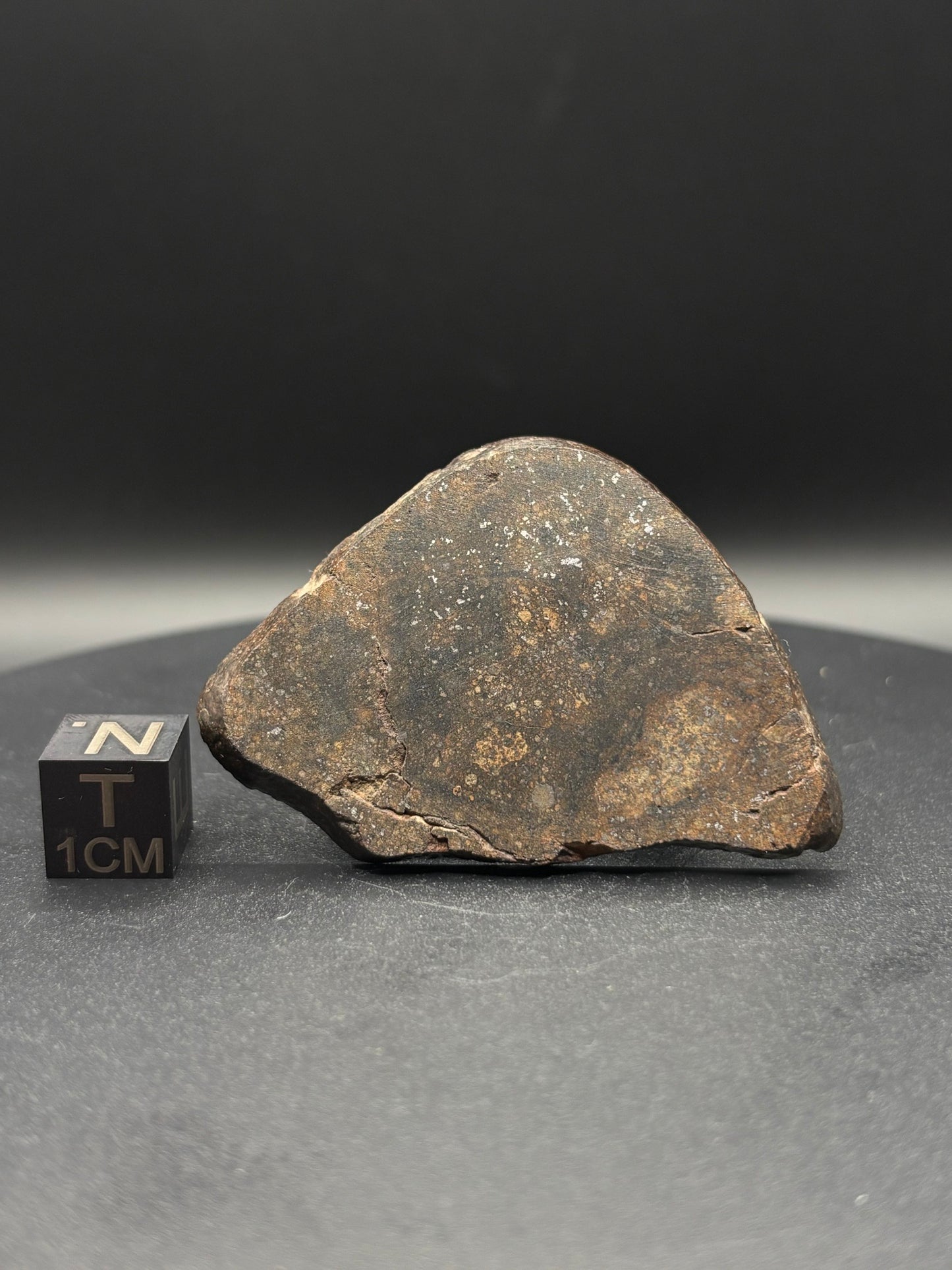 Northwest Africa Meteorite Slice – Possible L5 Chondrite – Polished – 16.4g – Algeria Find