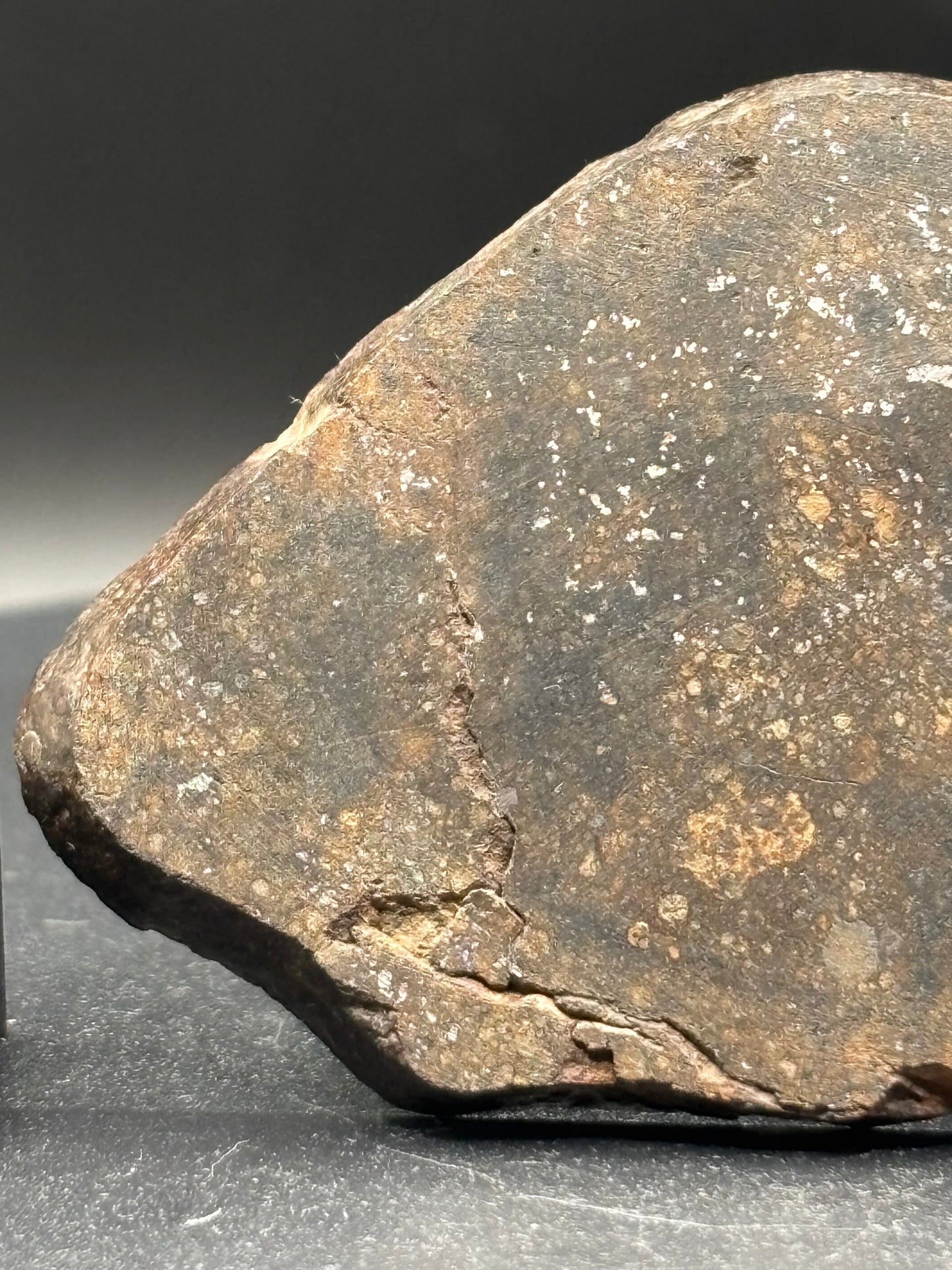 Northwest Africa Meteorite Slice – Possible L5 Chondrite – Polished – 16.4g – Algeria Find