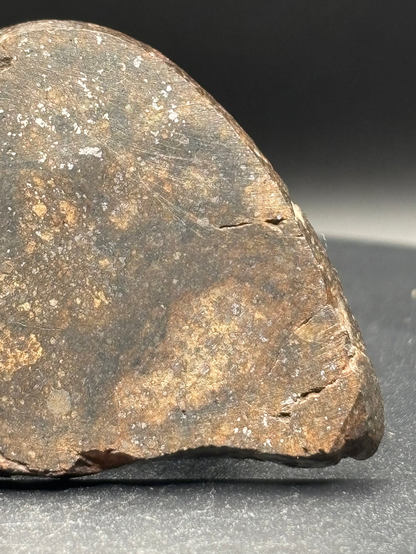 Northwest Africa Meteorite Slice – Possible L5 Chondrite – Polished – 16.4g – Algeria Find