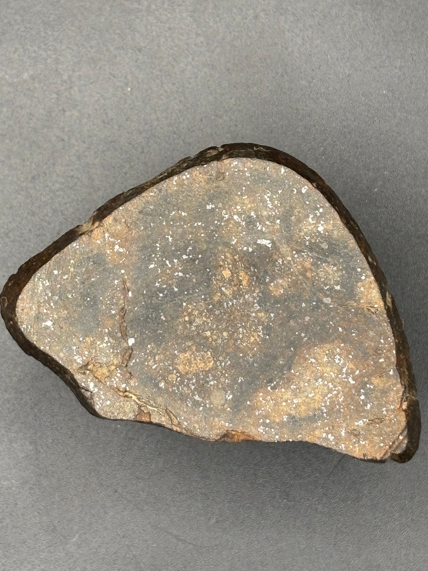 Northwest Africa Meteorite Slice – Possible L5 Chondrite – Polished – 16.4g – Algeria Find